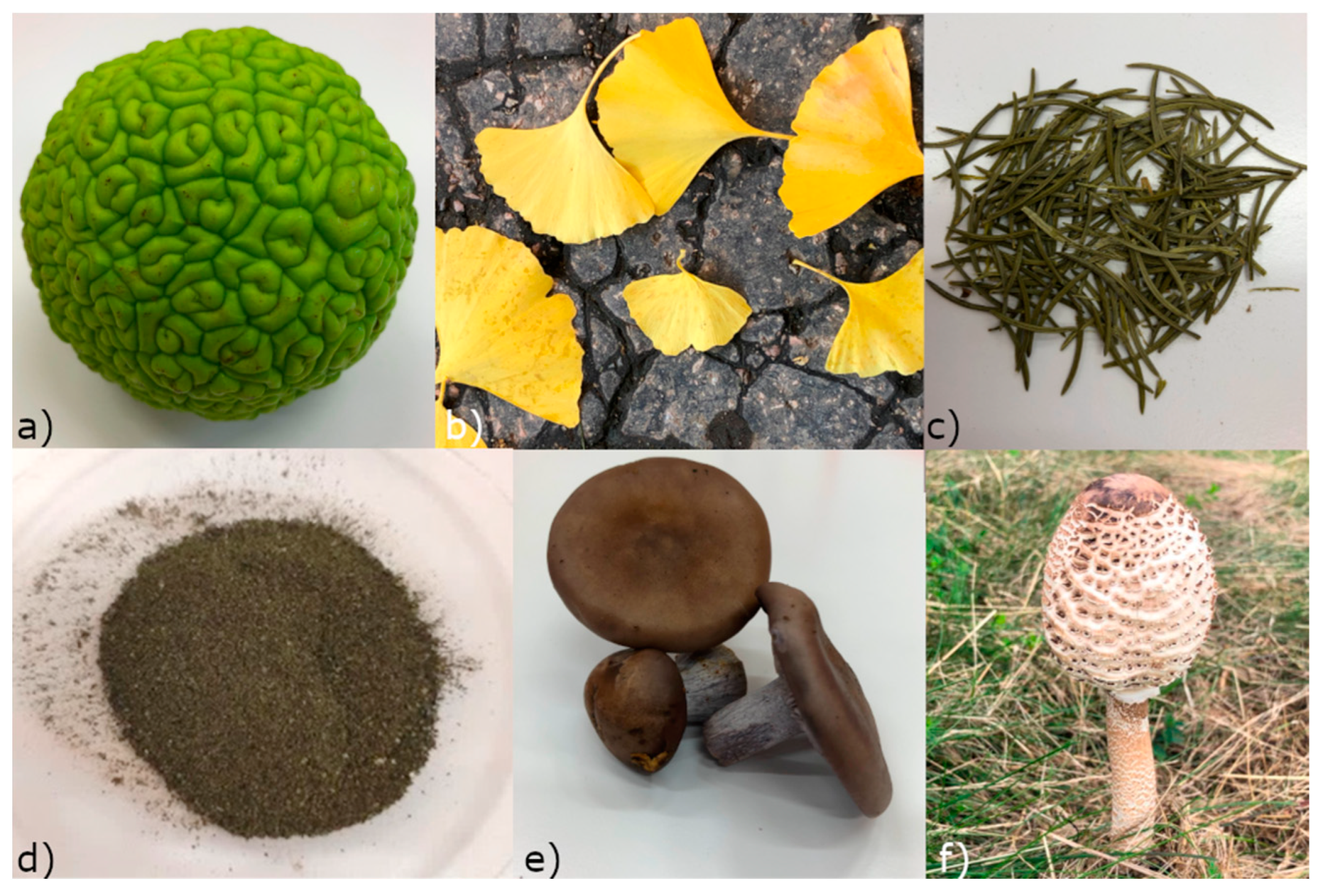 Materials 17 02252 g001