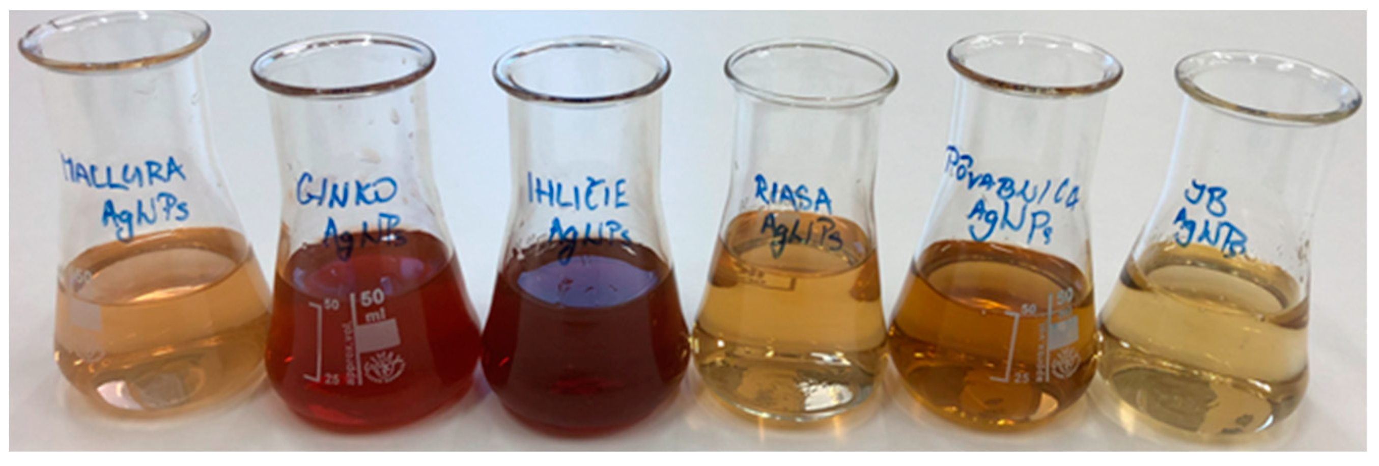 Materials 17 02252 g006