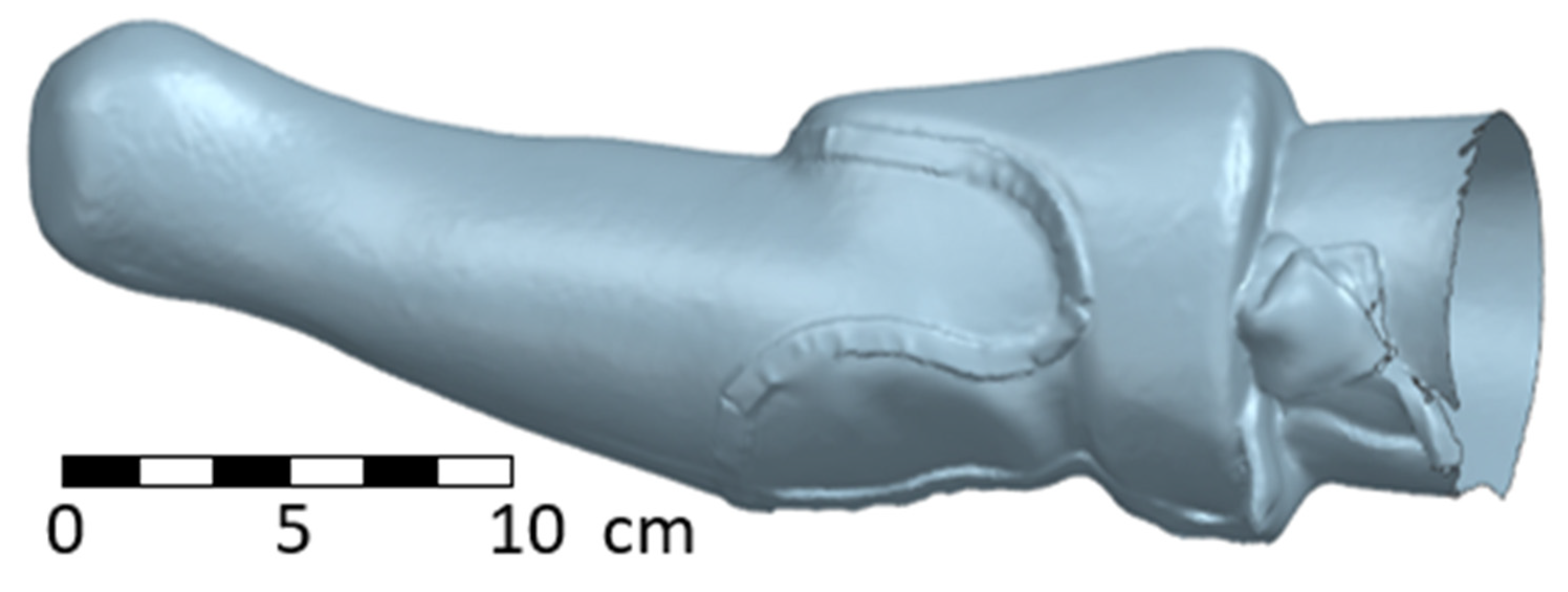 Materials 17 02347 g006