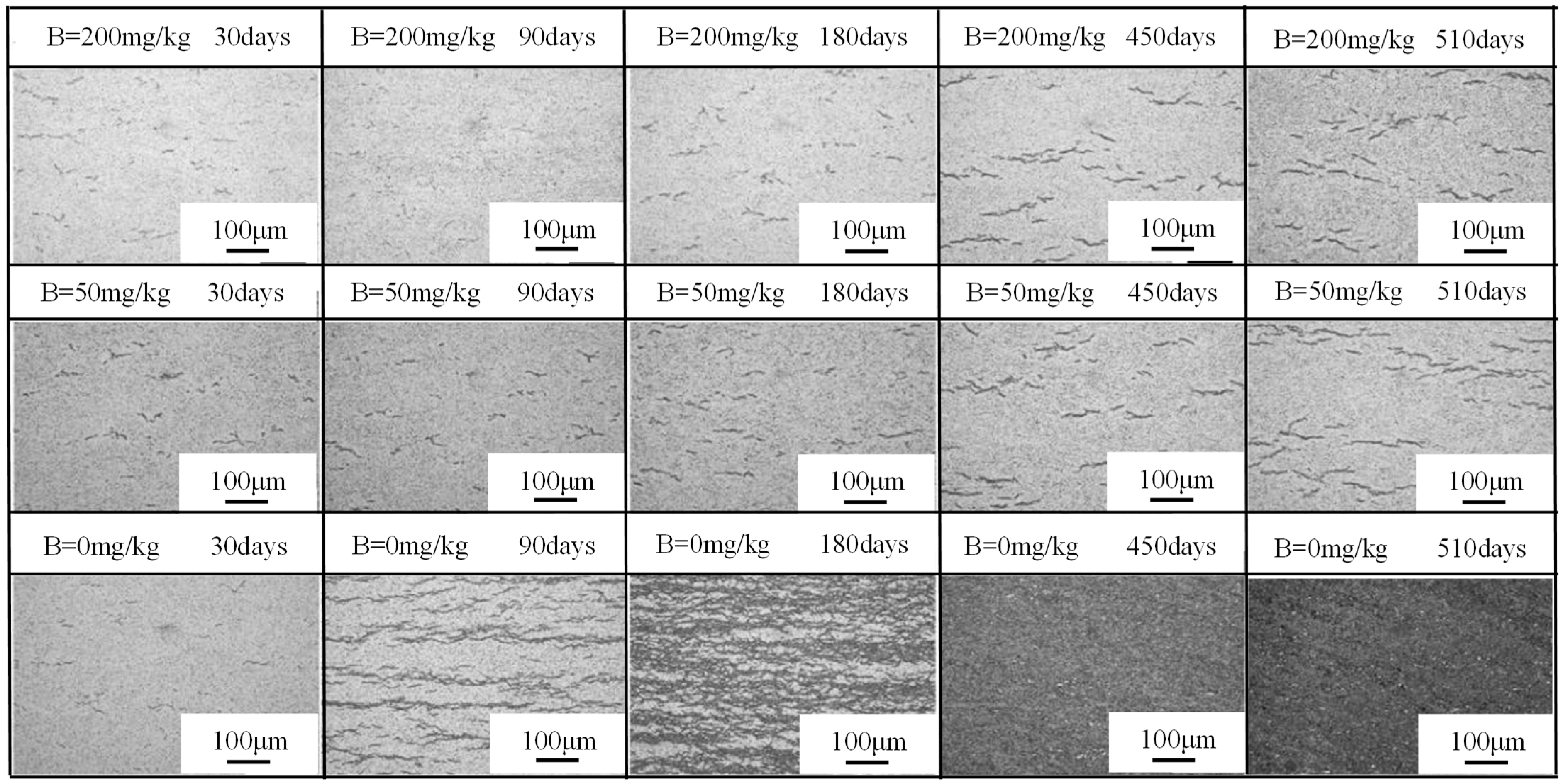 Materials 17 02373 g005