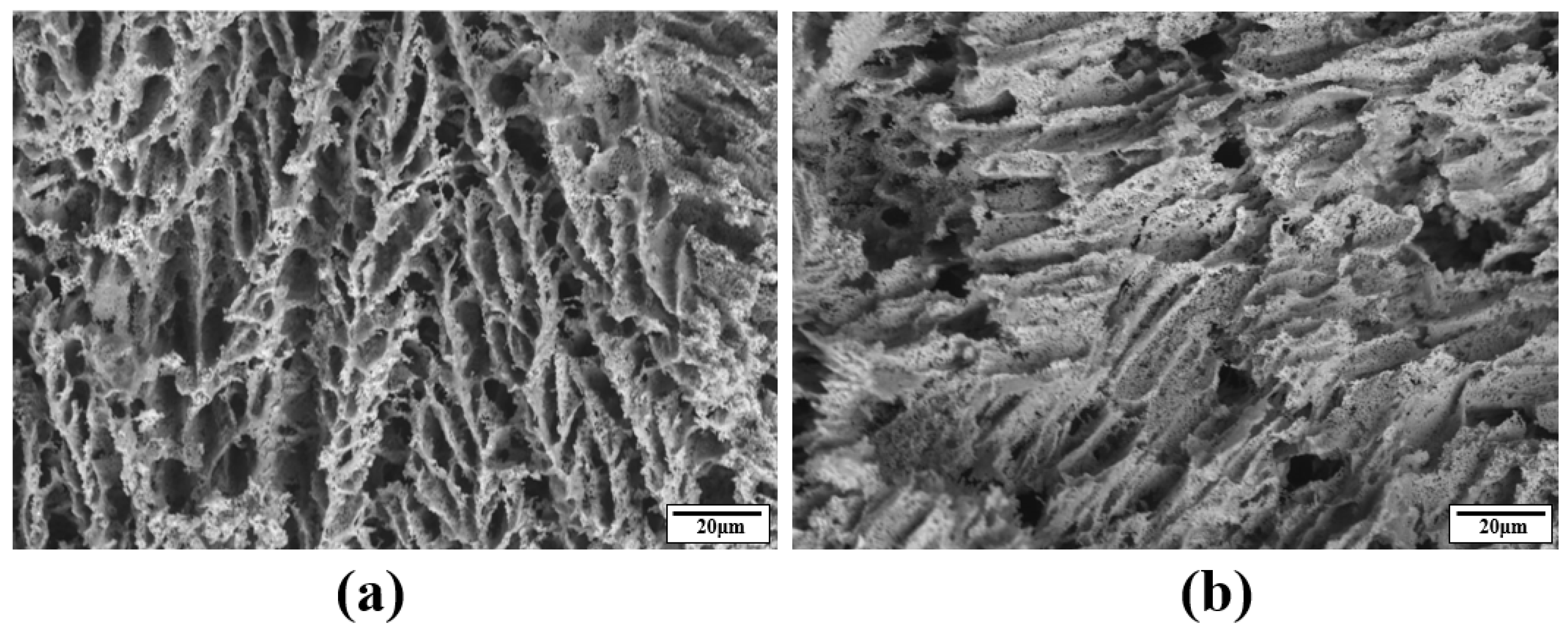 Materials 17 02432 g004