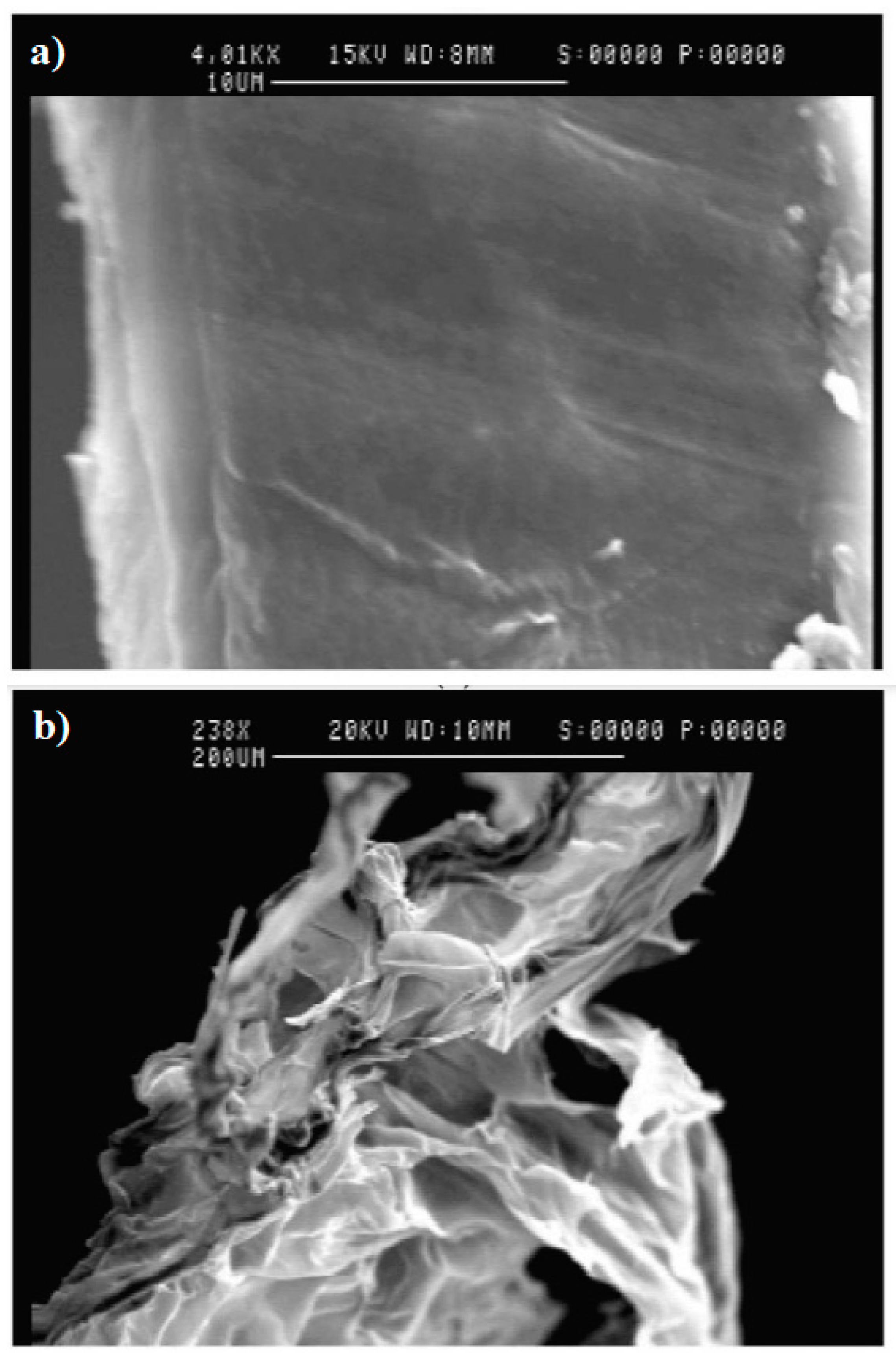 Materials 17 02439 g015