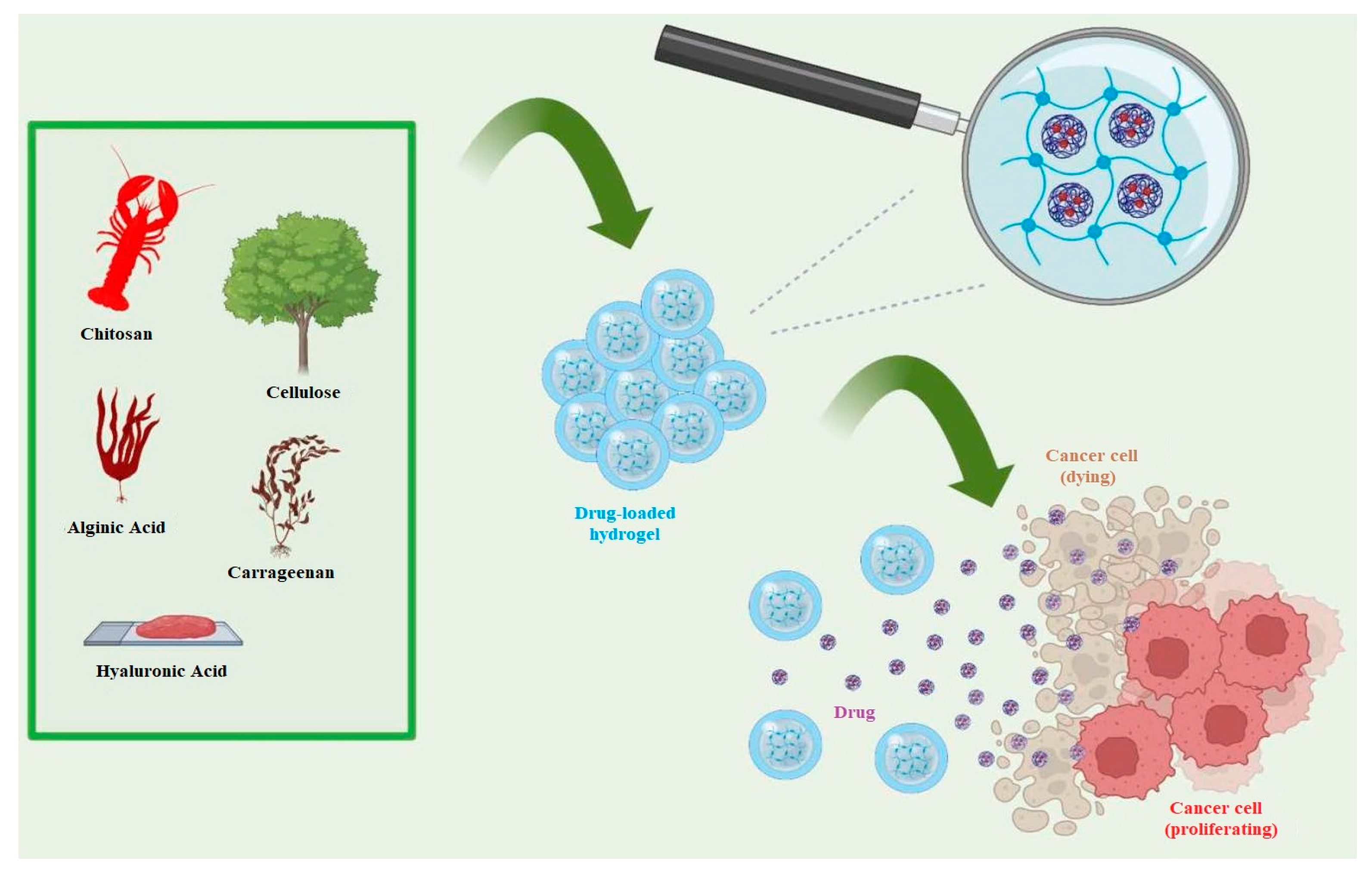 Materials 17 02439 g019