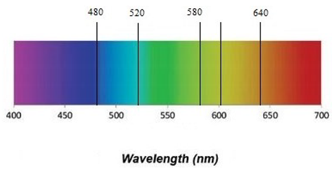 Mathematics 10 02776 i002