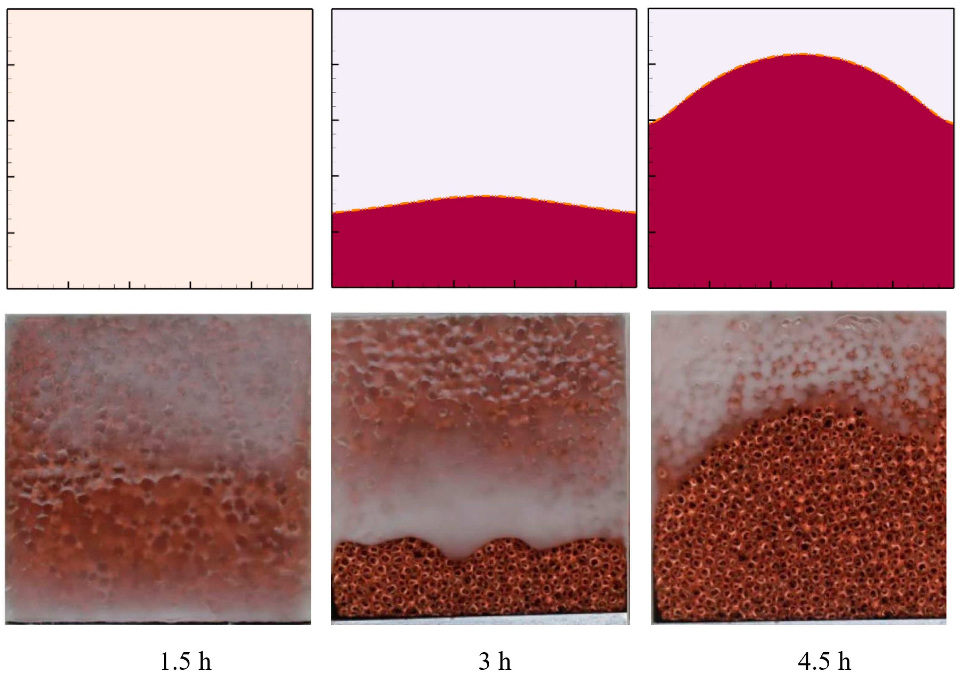 Mathematics 11 00356 g005