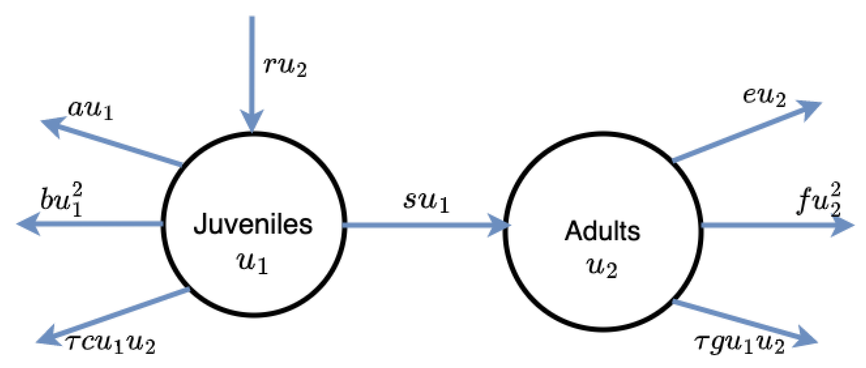 Mathematics 11 00925 g001