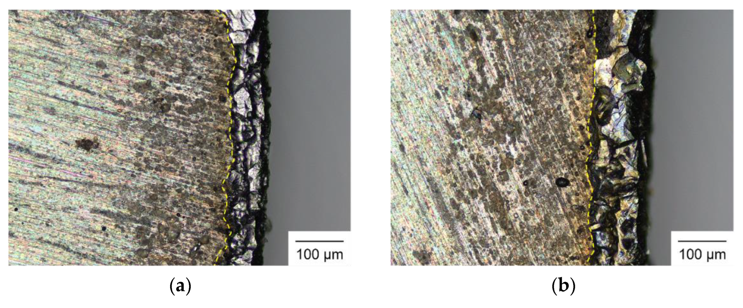 Mathematics 11 04769 g013