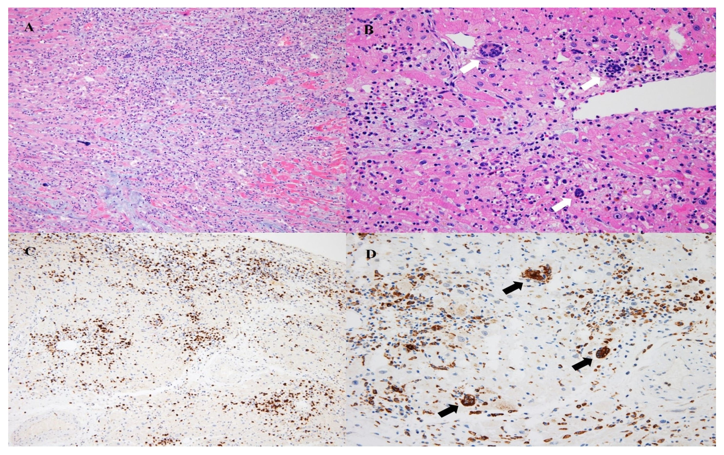 Medicina 58 00449 g002