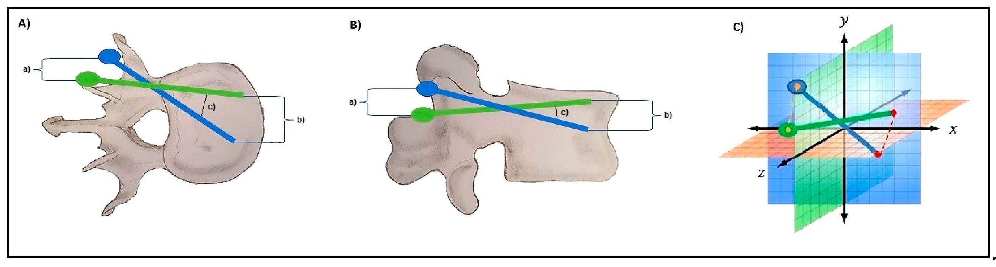 Medicina 58 01200 g002