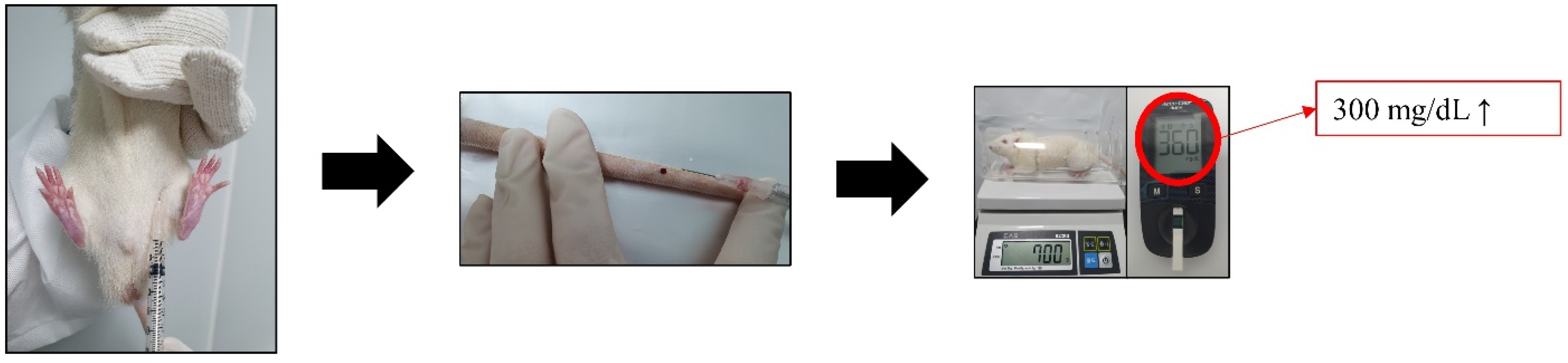 Medicina 59 01155 g001