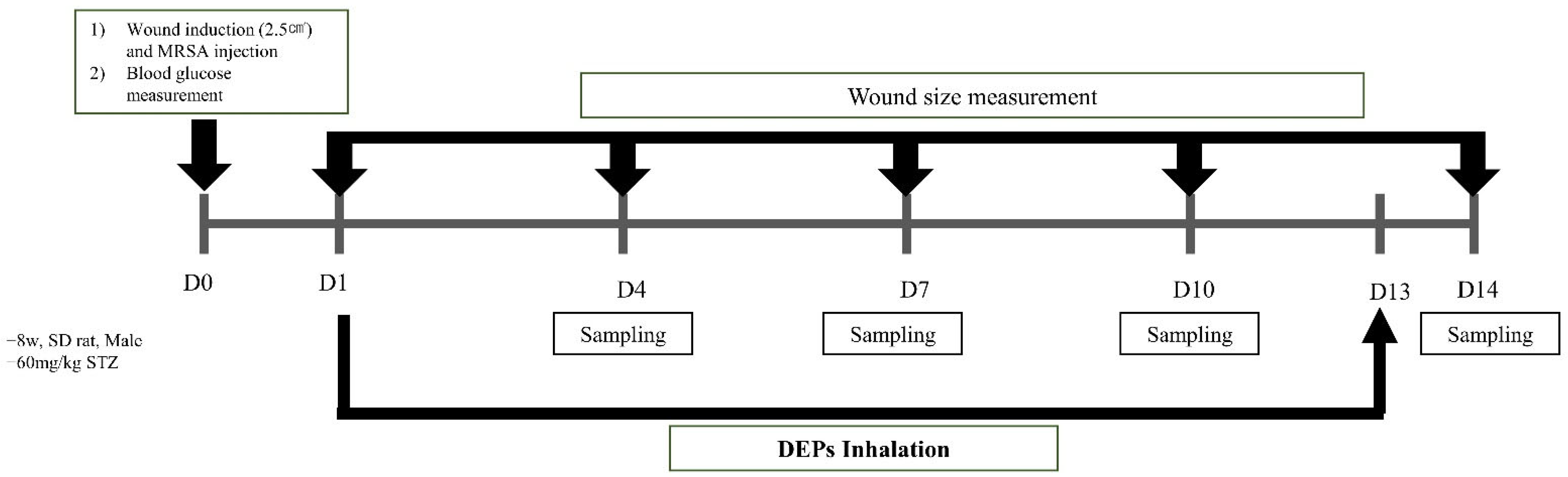 Medicina 59 01155 g003