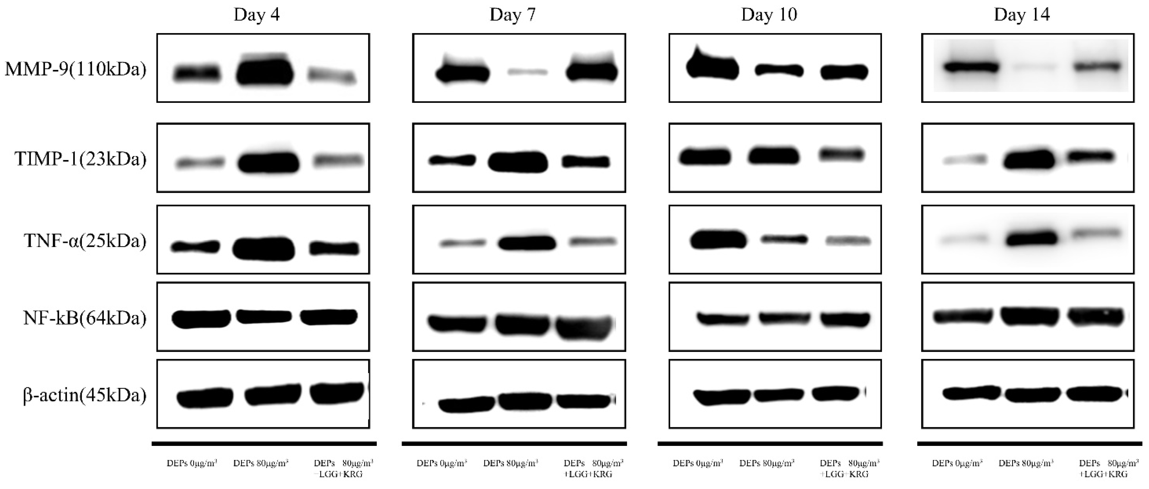 Medicina 59 01155 g007