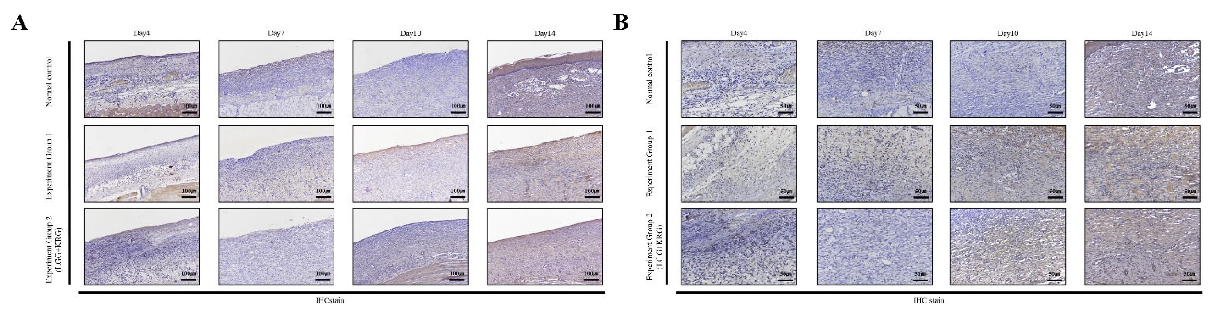 Medicina 59 01155 g014