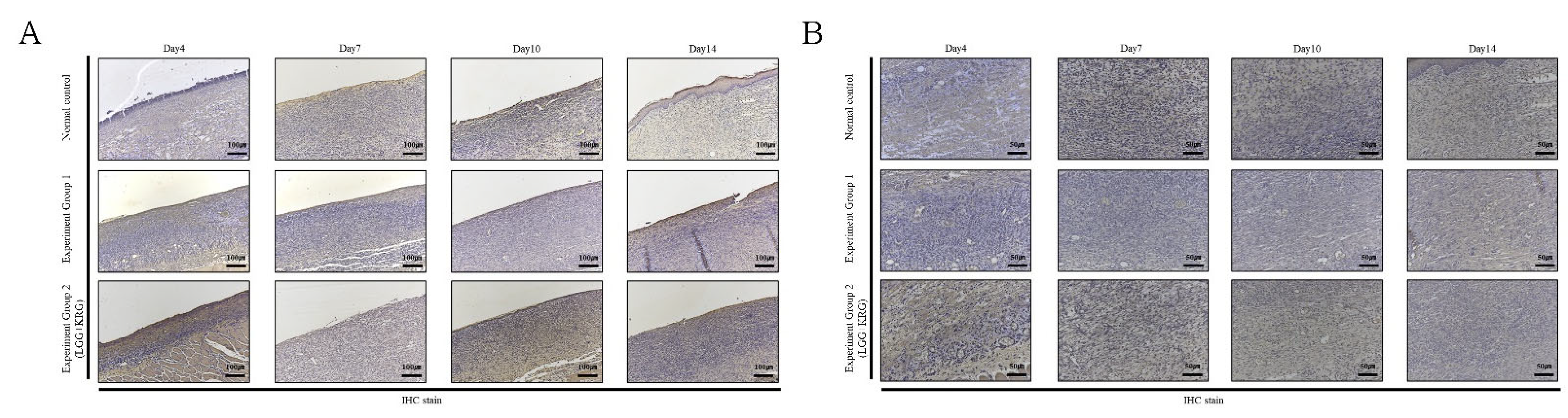 Medicina 59 01155 g016