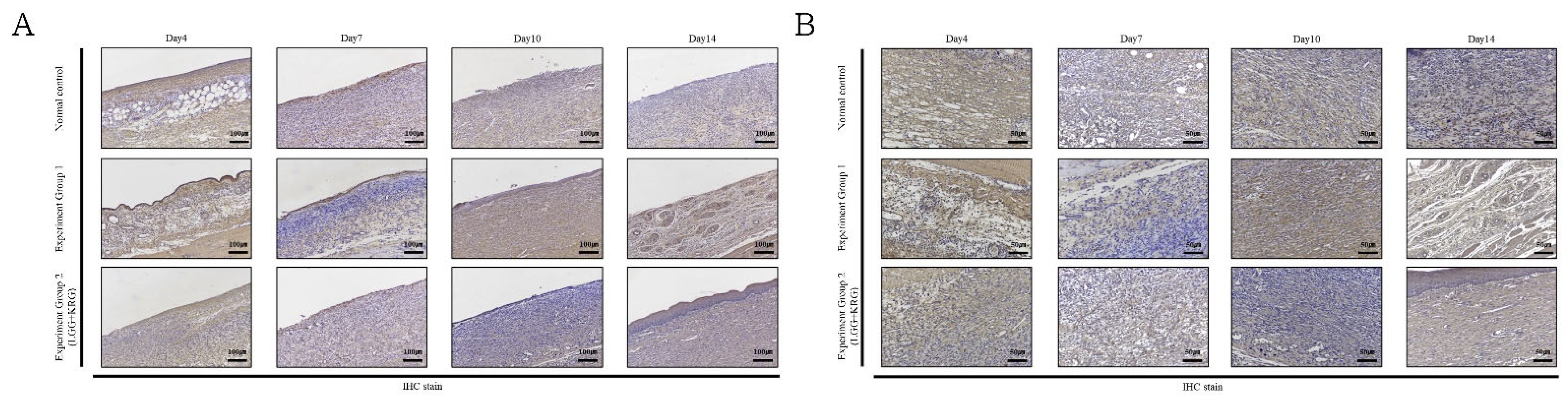 Medicina 59 01155 g017