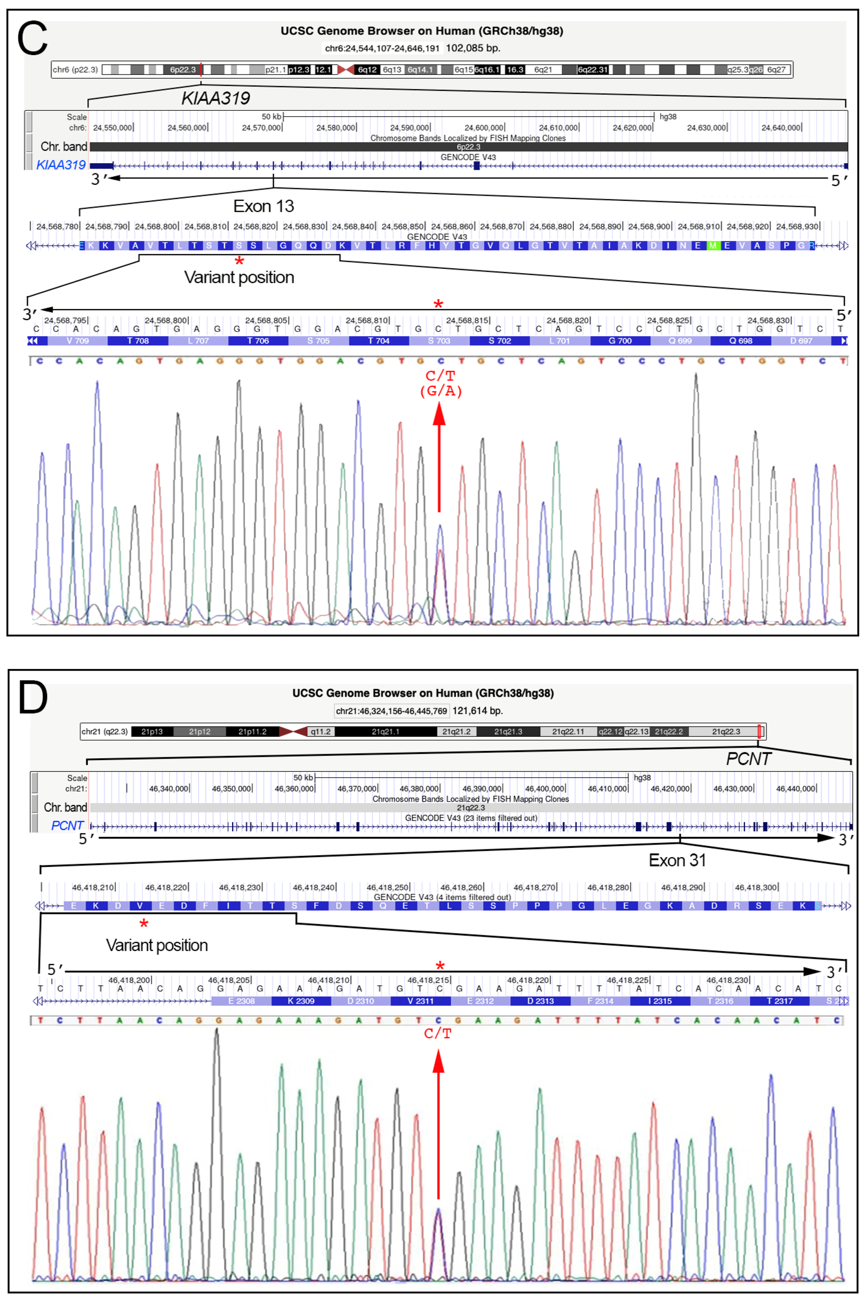 Medicina 59 01503 g001b