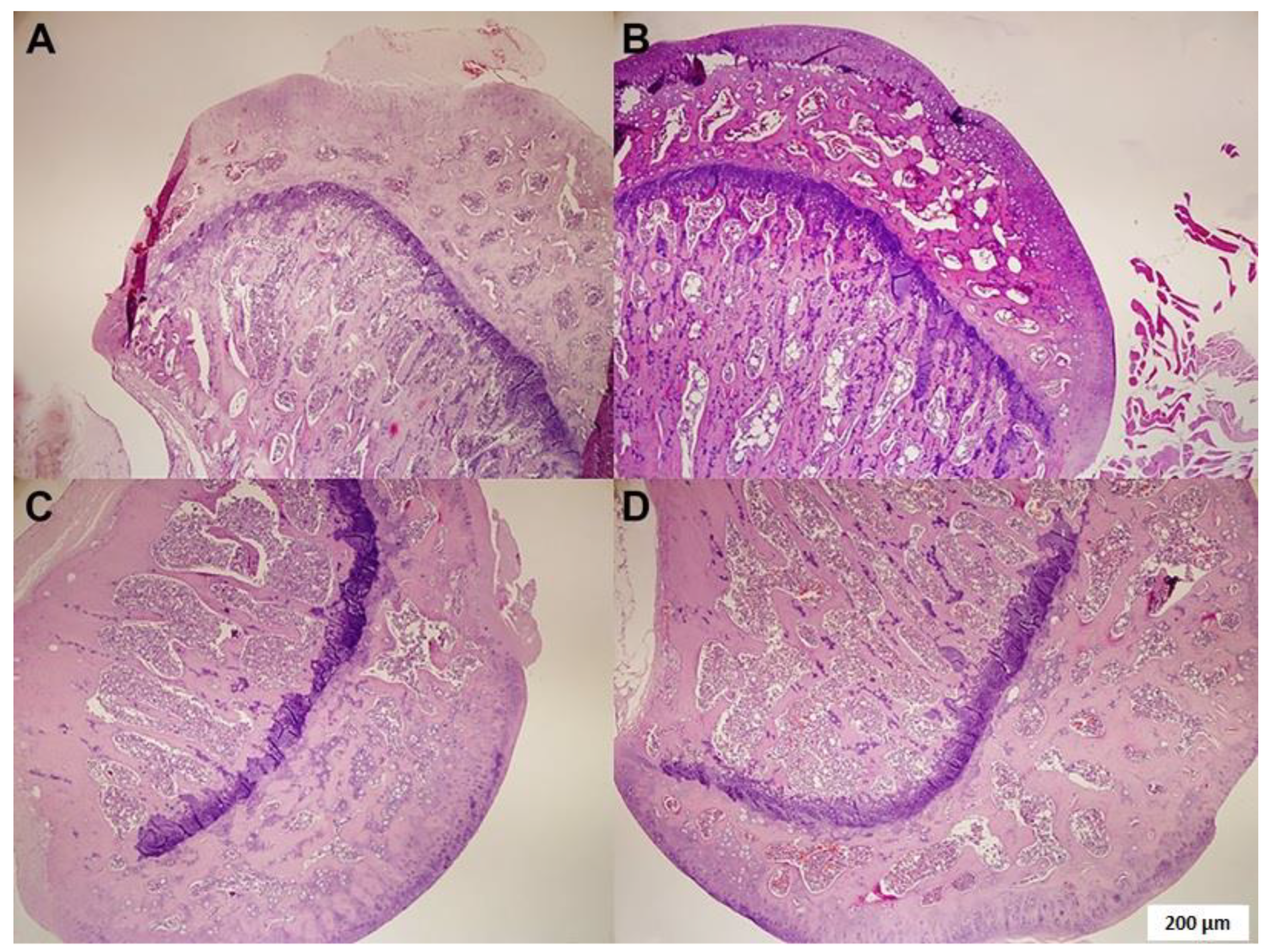 Medicina 59 01781 g001