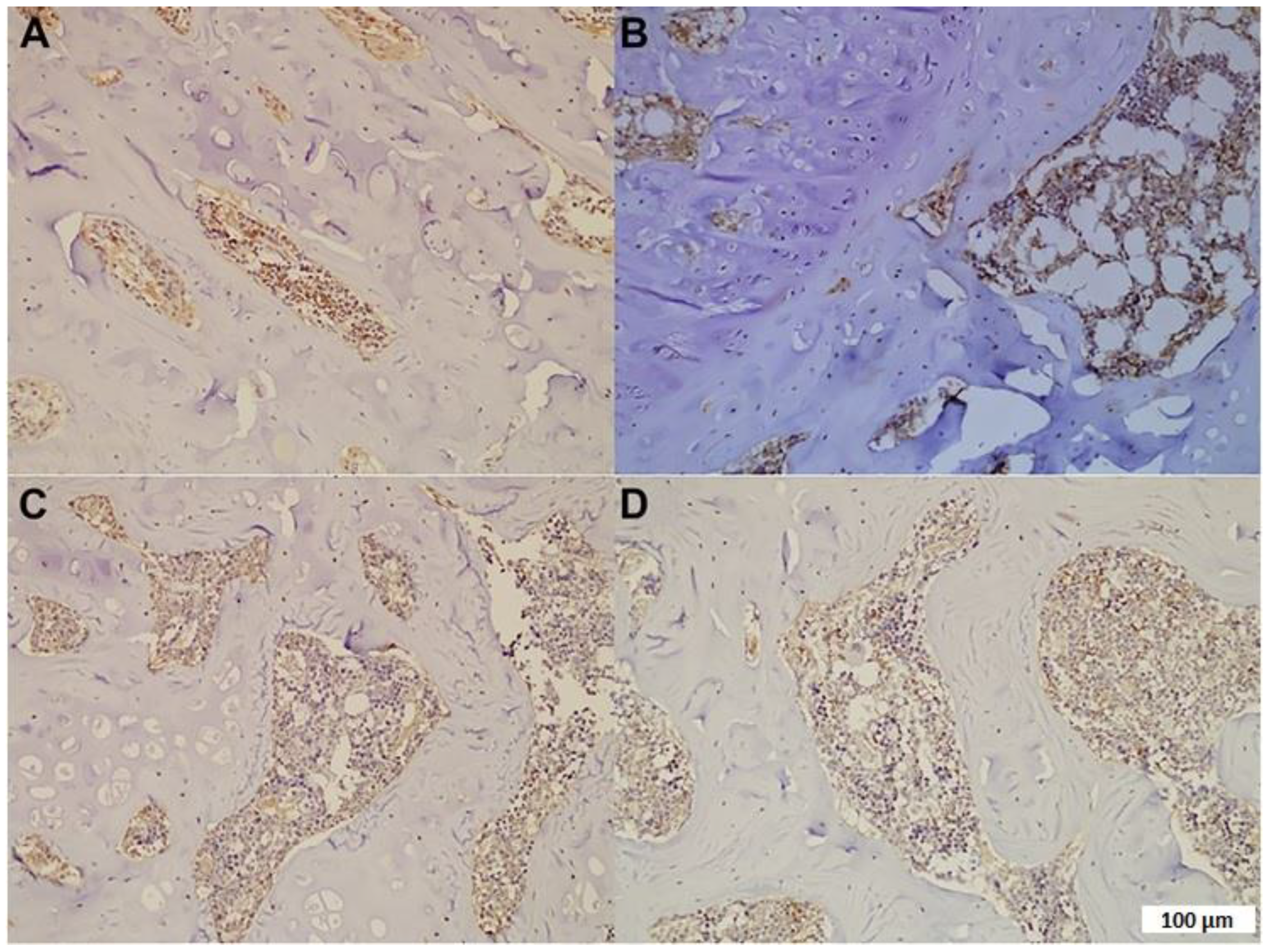 Medicina 59 01781 g002
