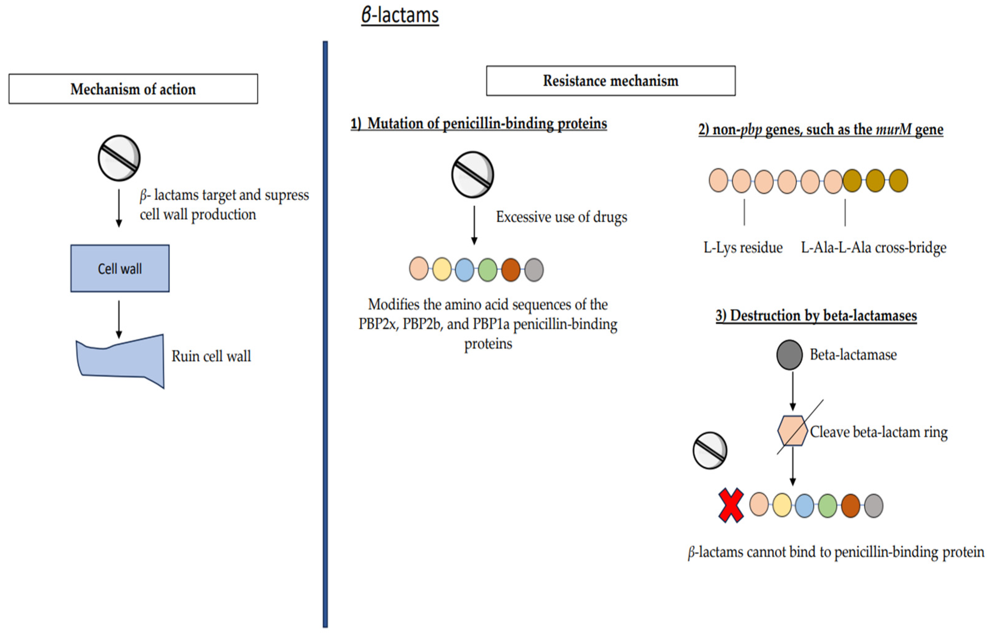 Medicina 59 01927 g002