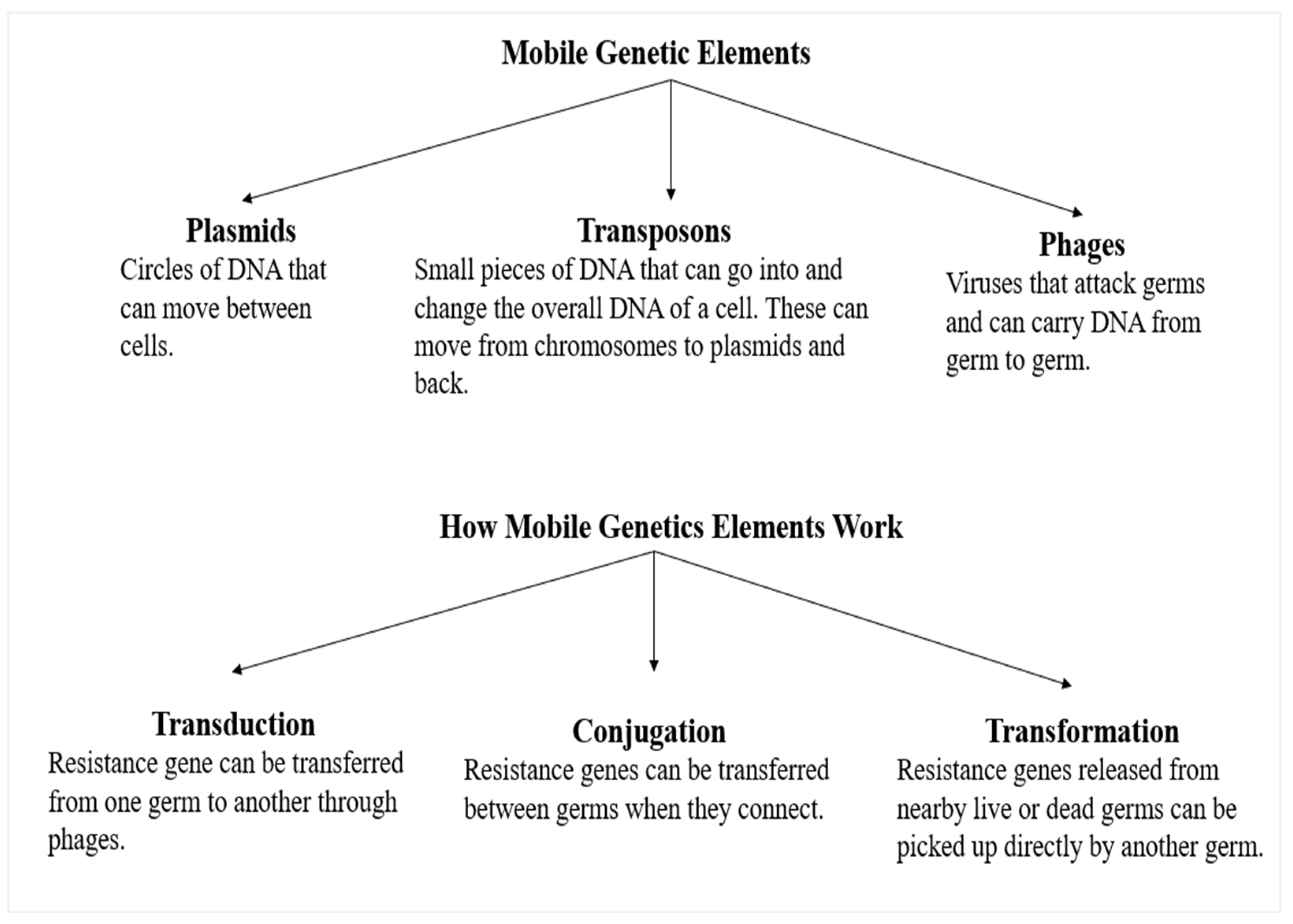 Medicina 59 01927 g003