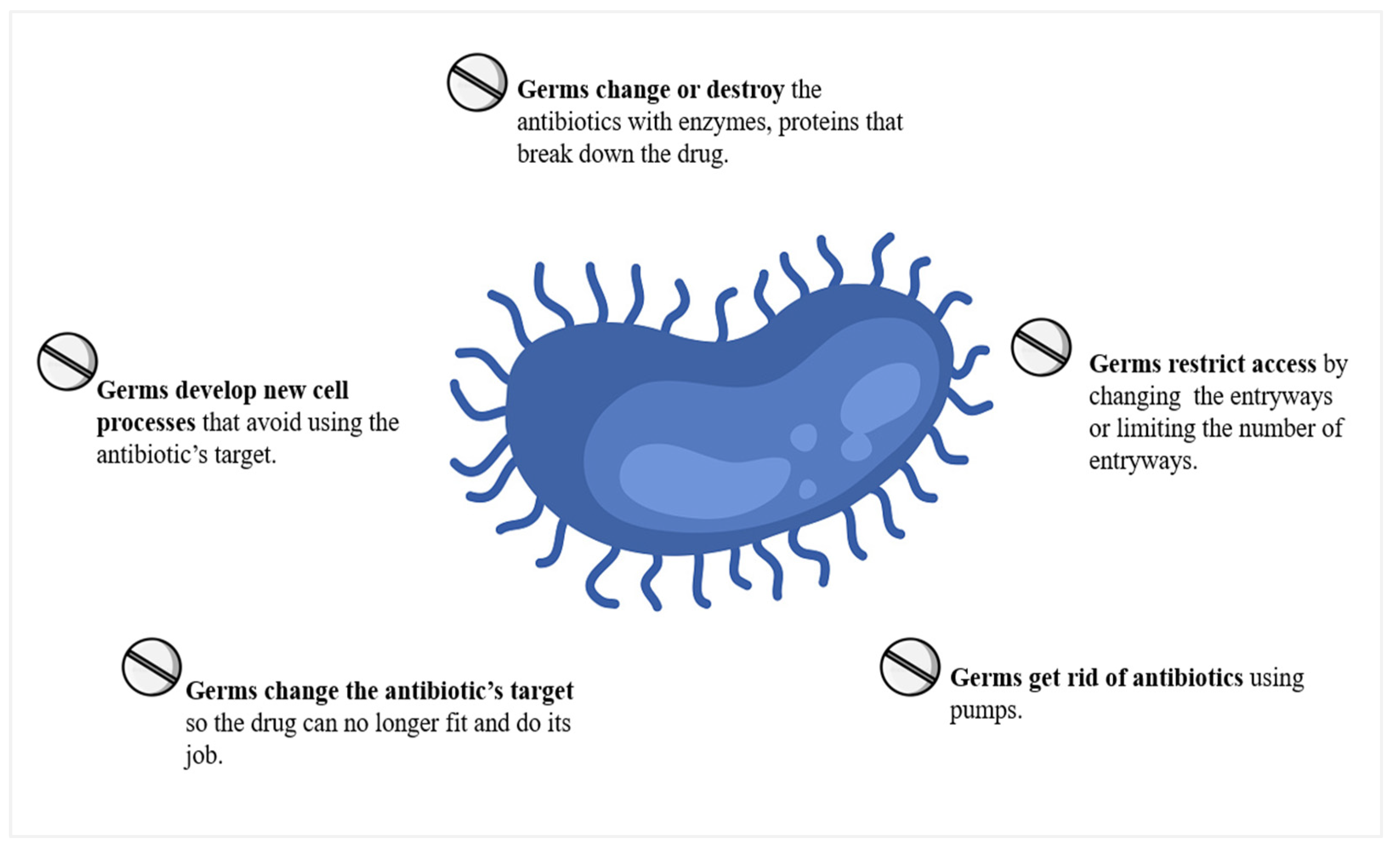 Medicina 59 01927 g004