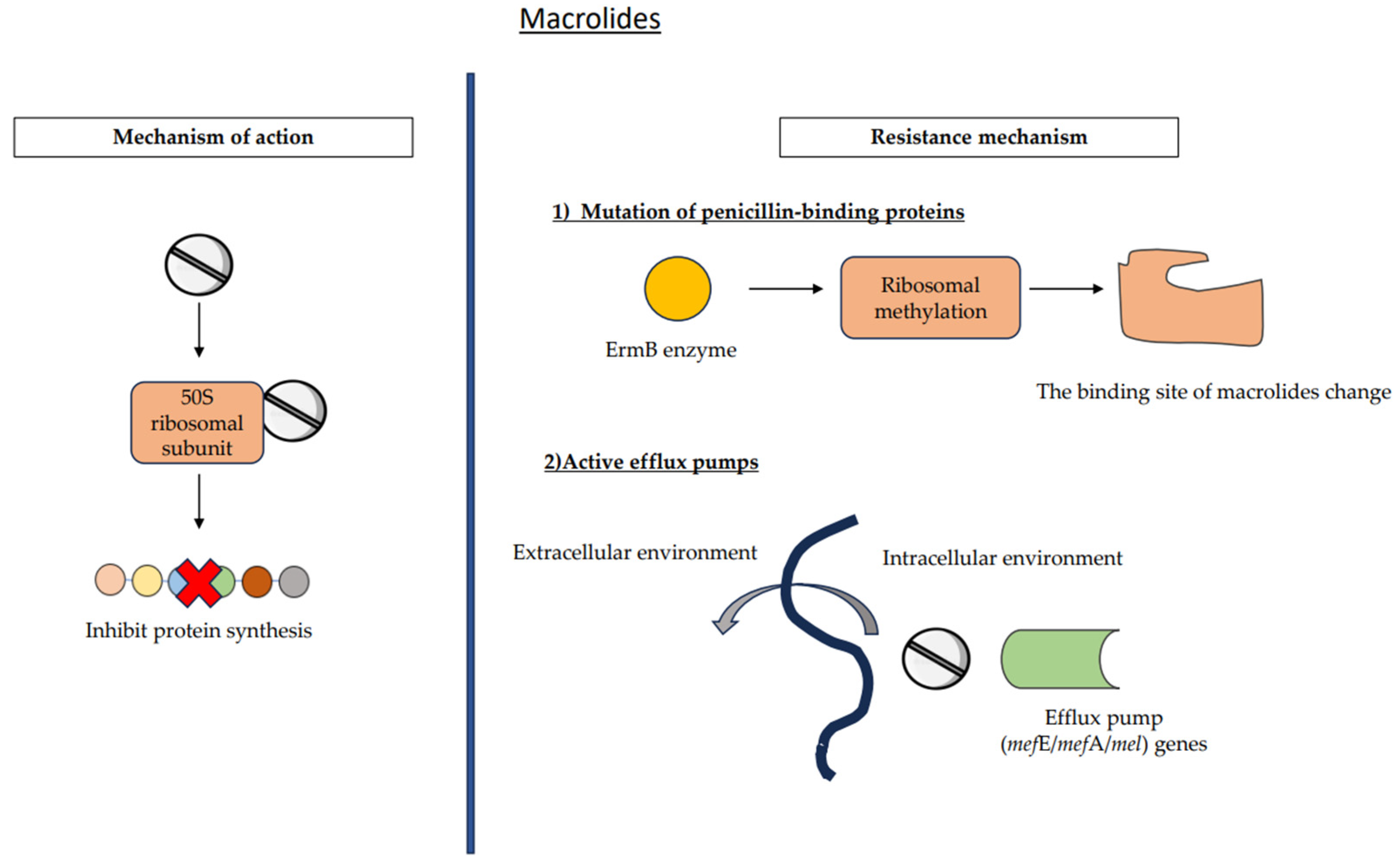 Medicina 59 01927 g005