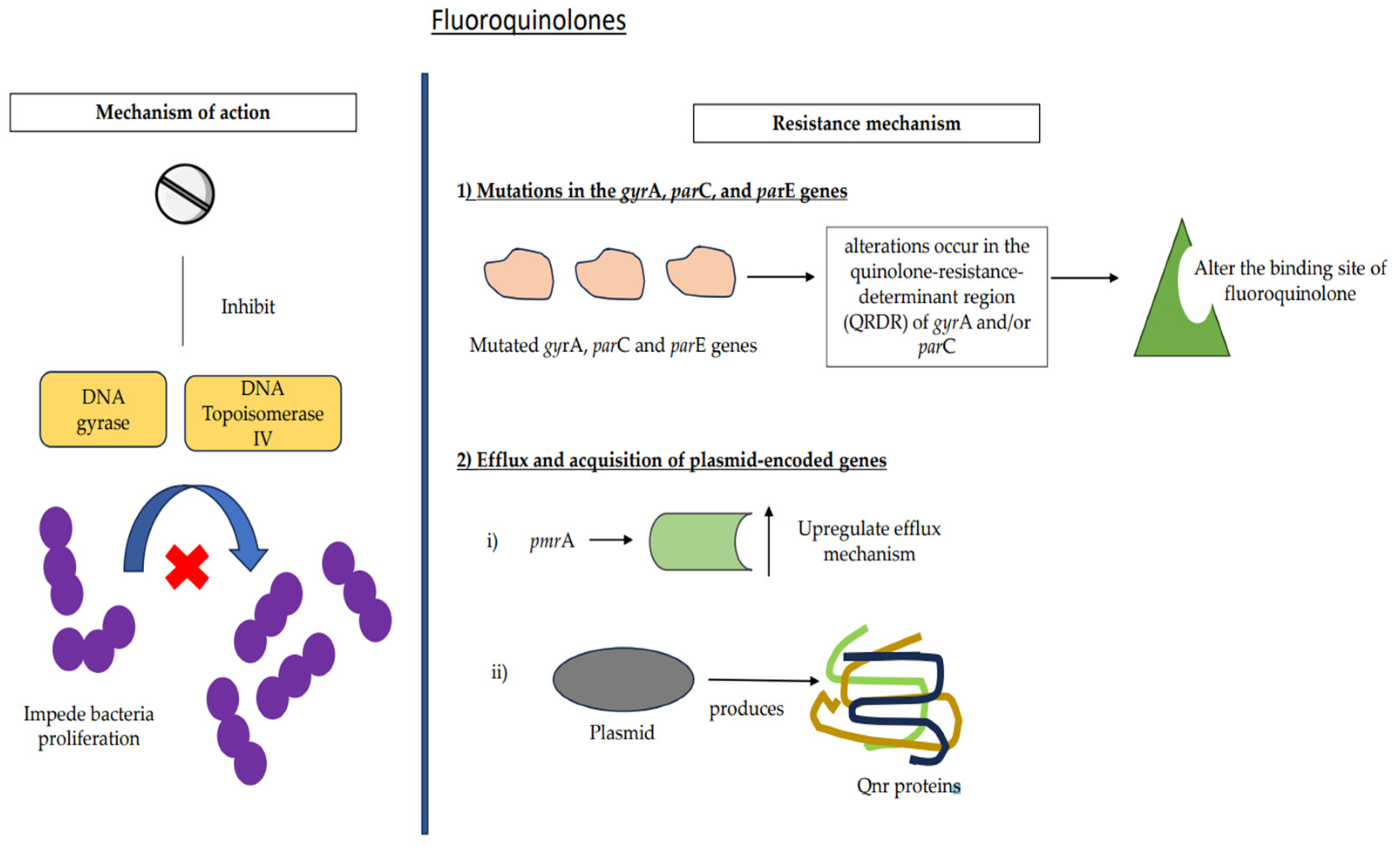 Medicina 59 01927 g006
