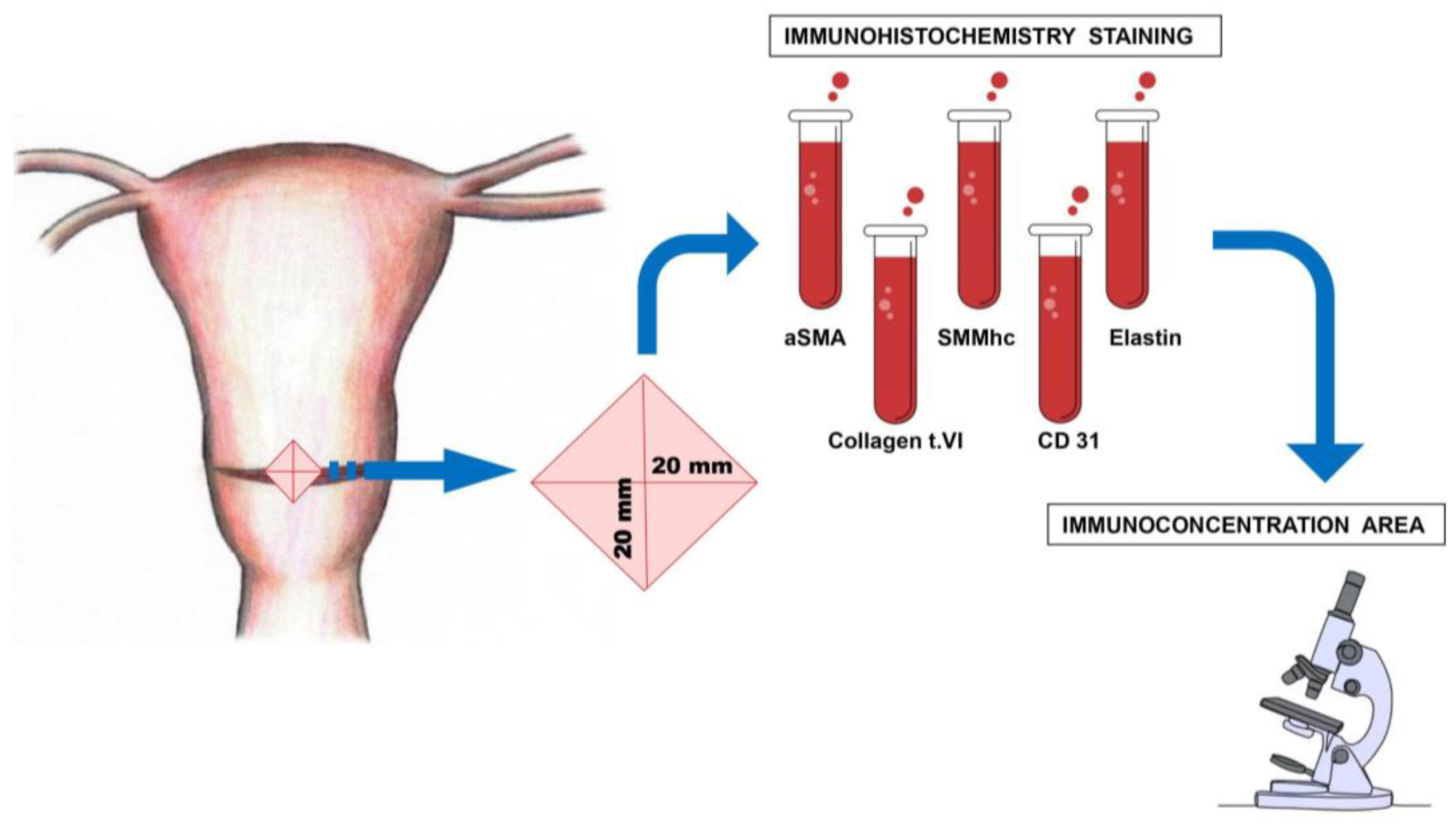 Medicina 60 00651 g001