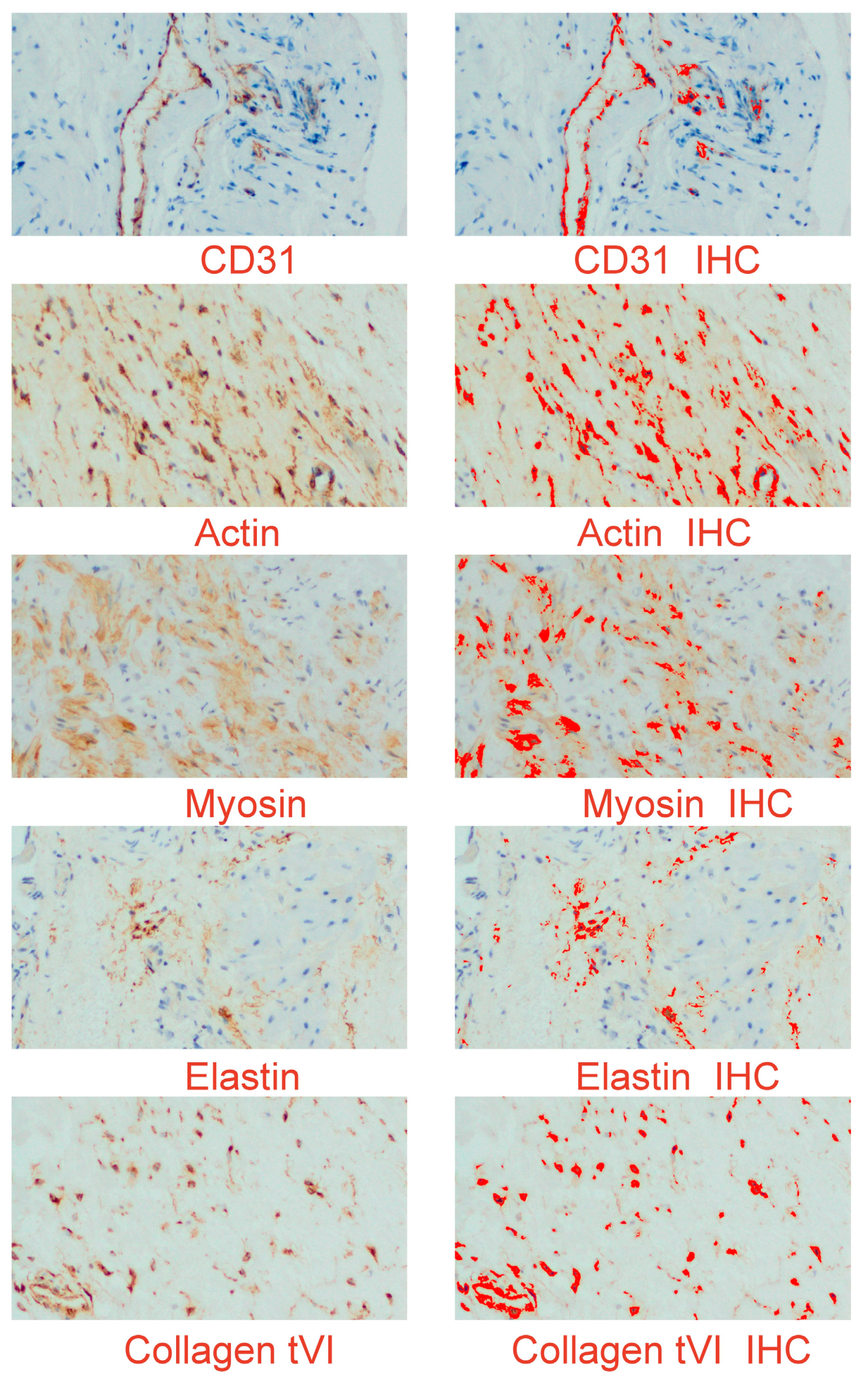 Medicina 60 00651 g007
