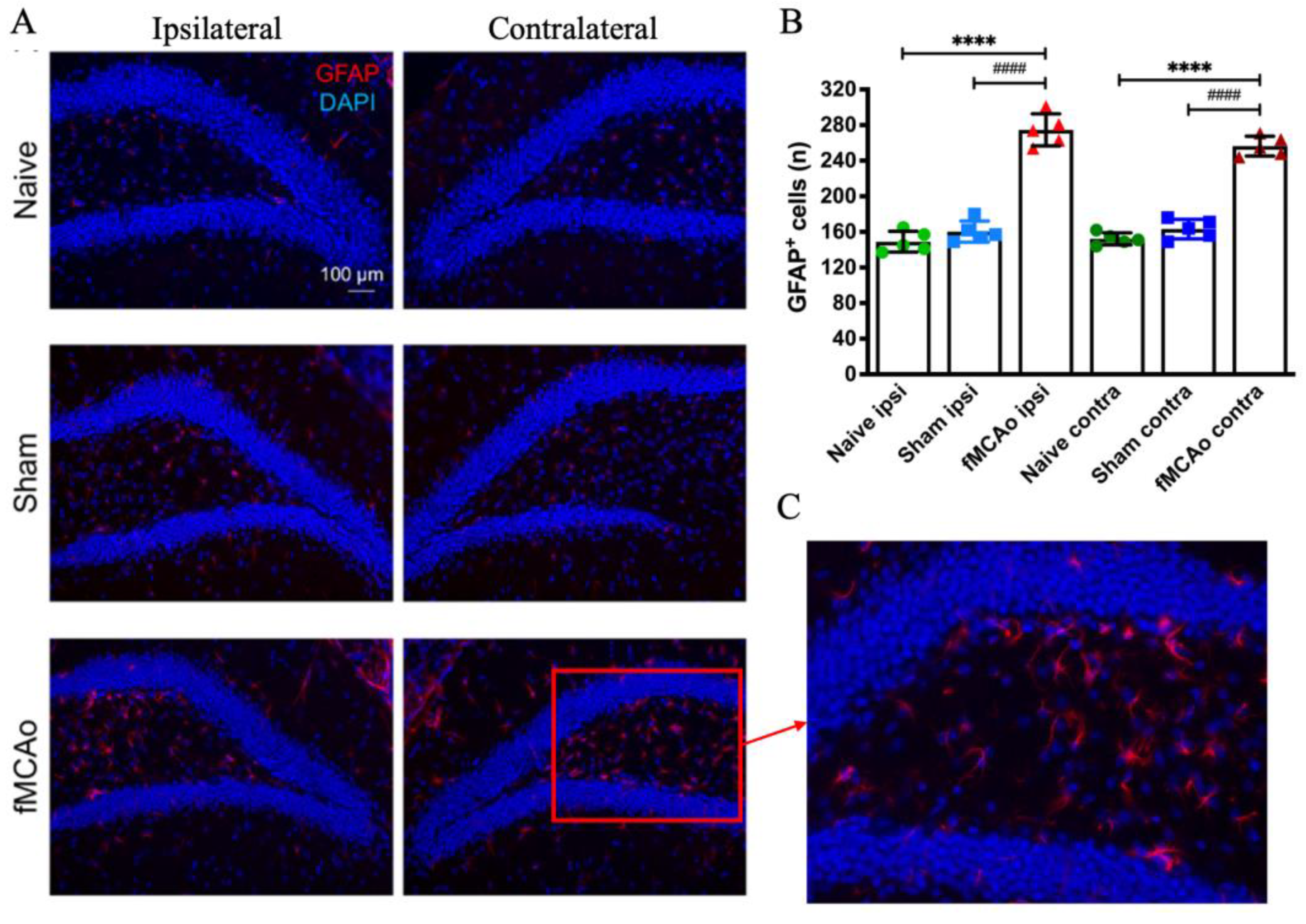 Medicina 60 00658 g004