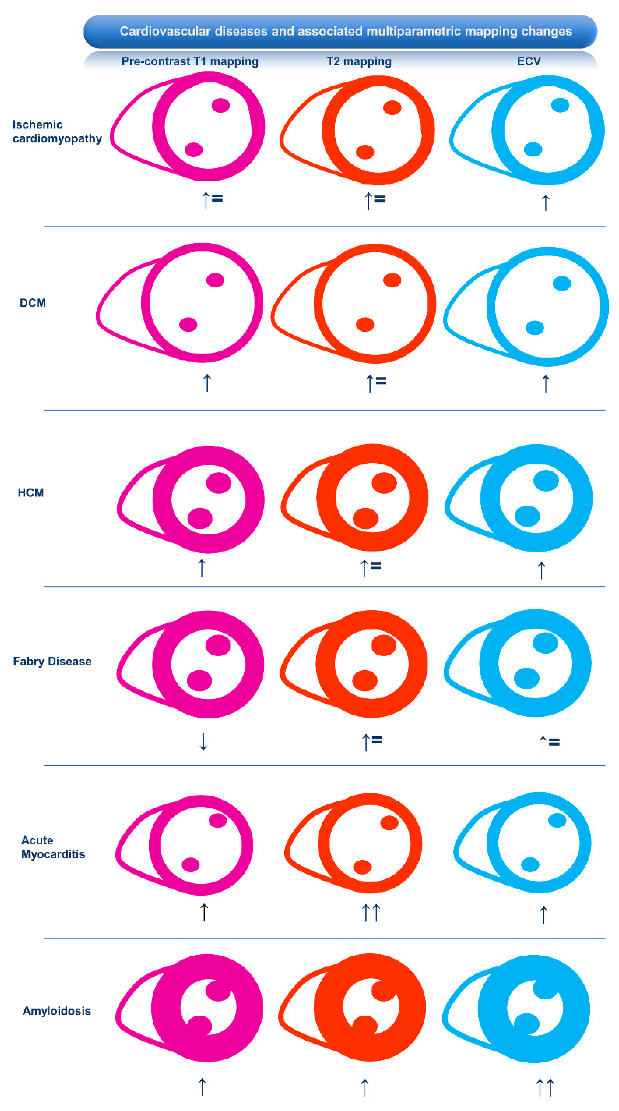 Medicina 60 00691 g001