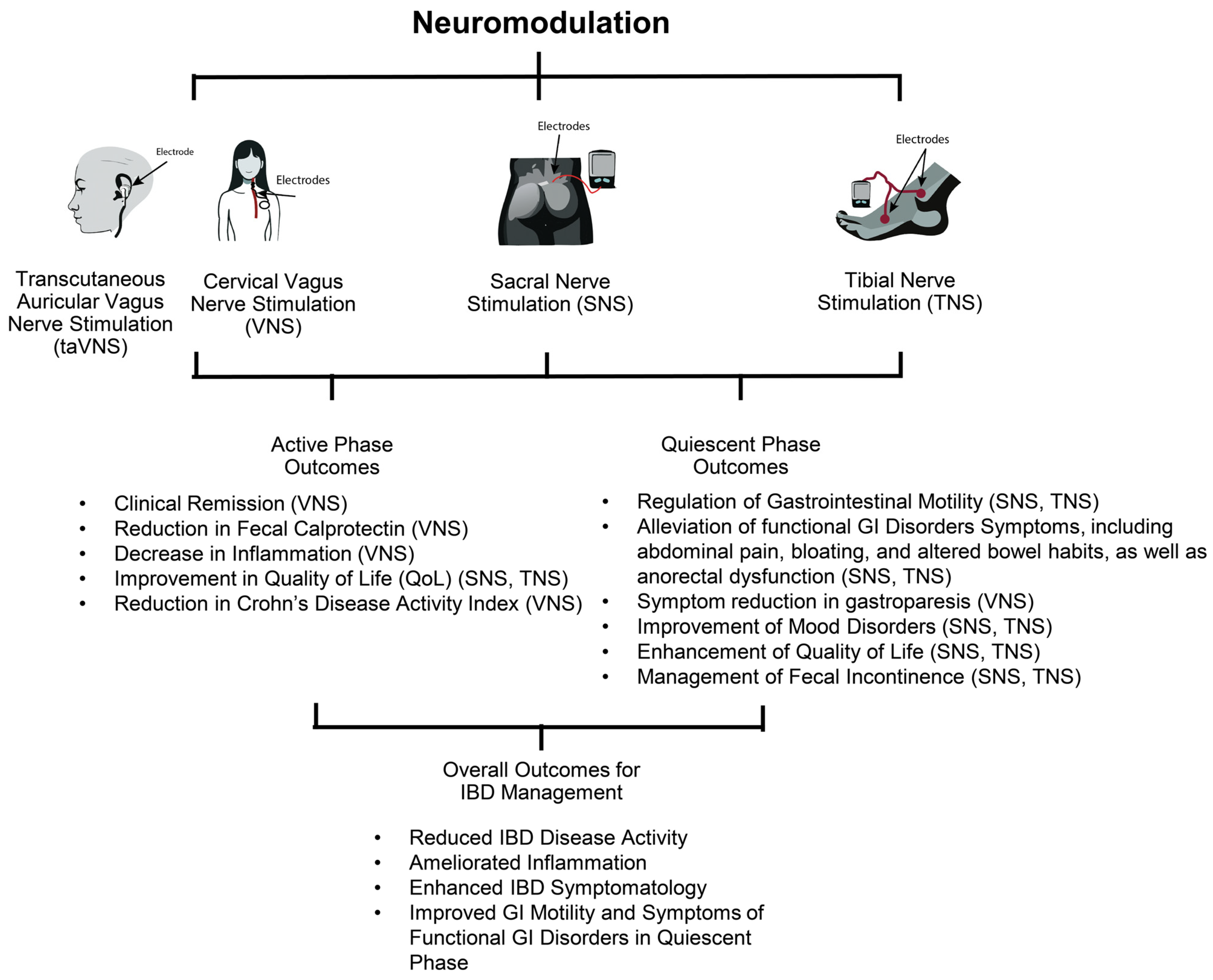 Medicina 60 00729 g001