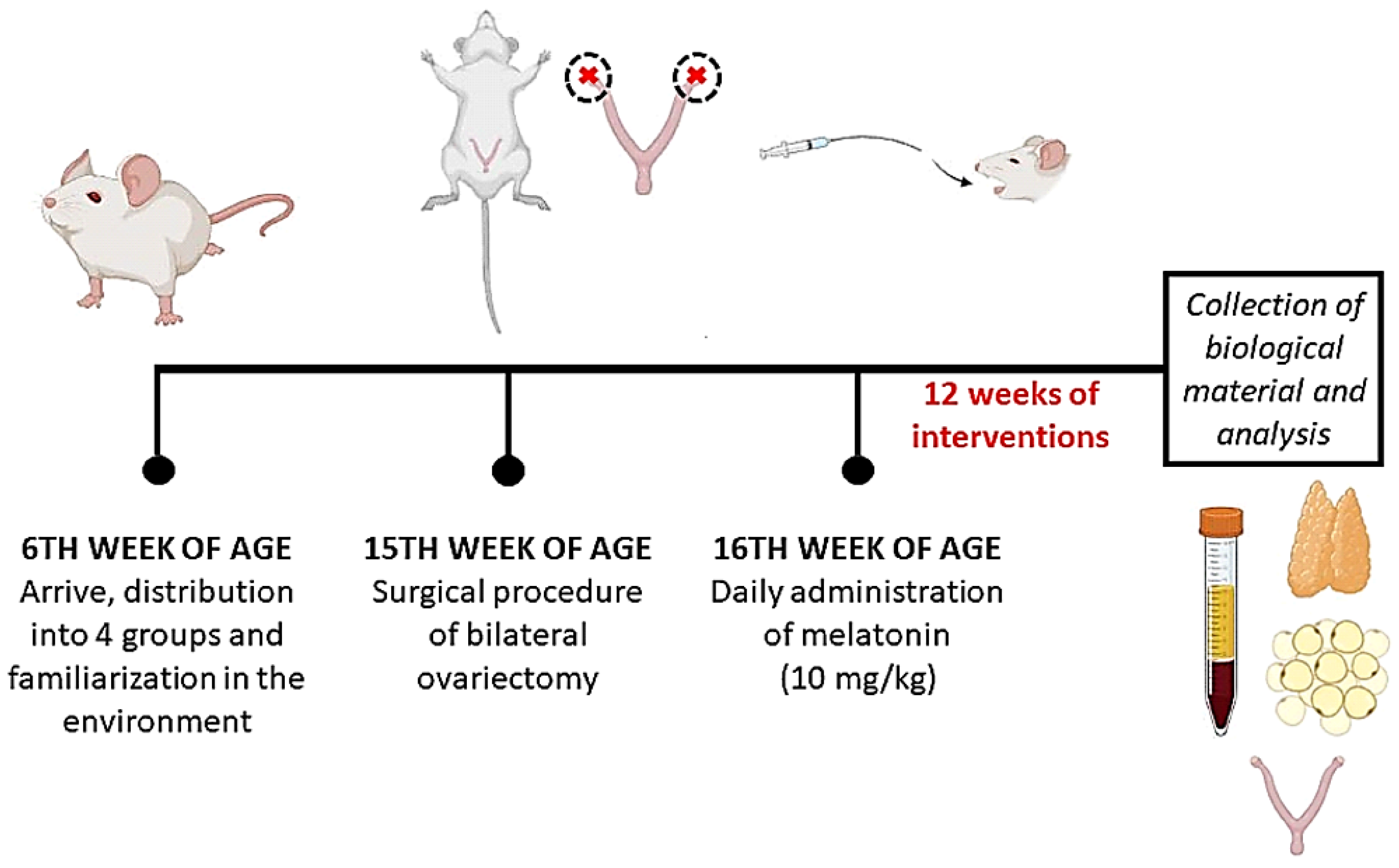 Medicina 60 00740 g001