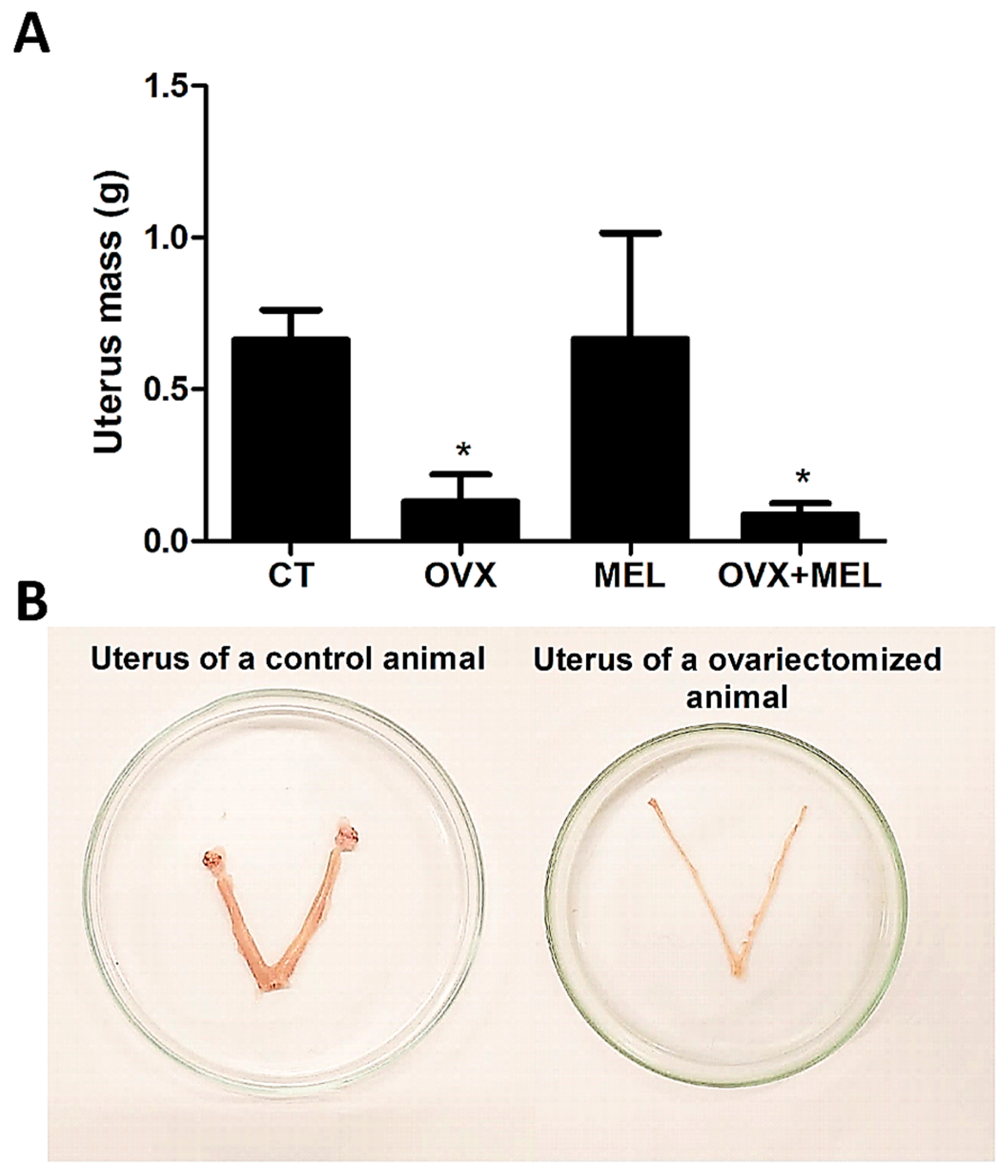 Medicina 60 00740 g005
