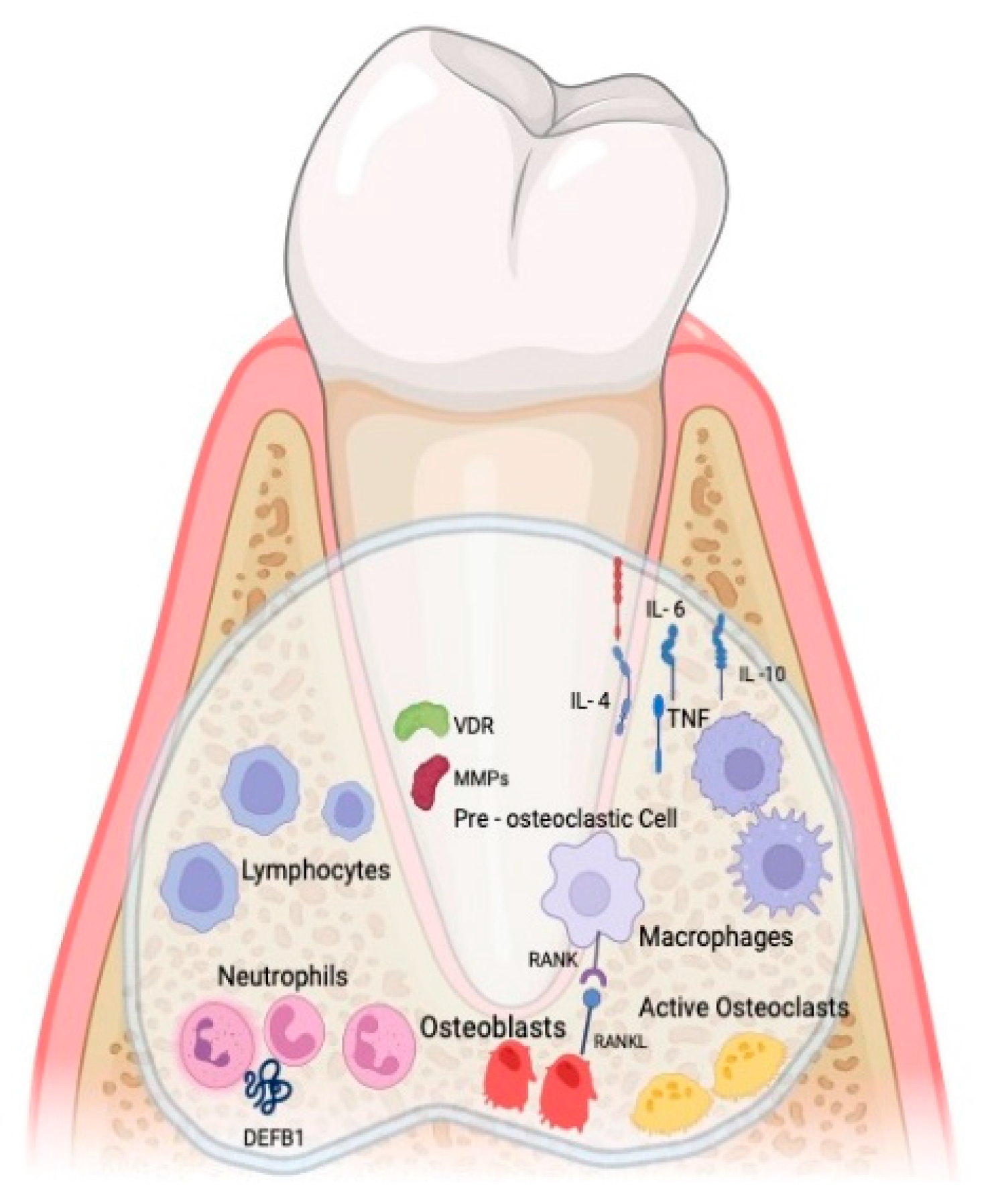Medicina 60 00773 g001