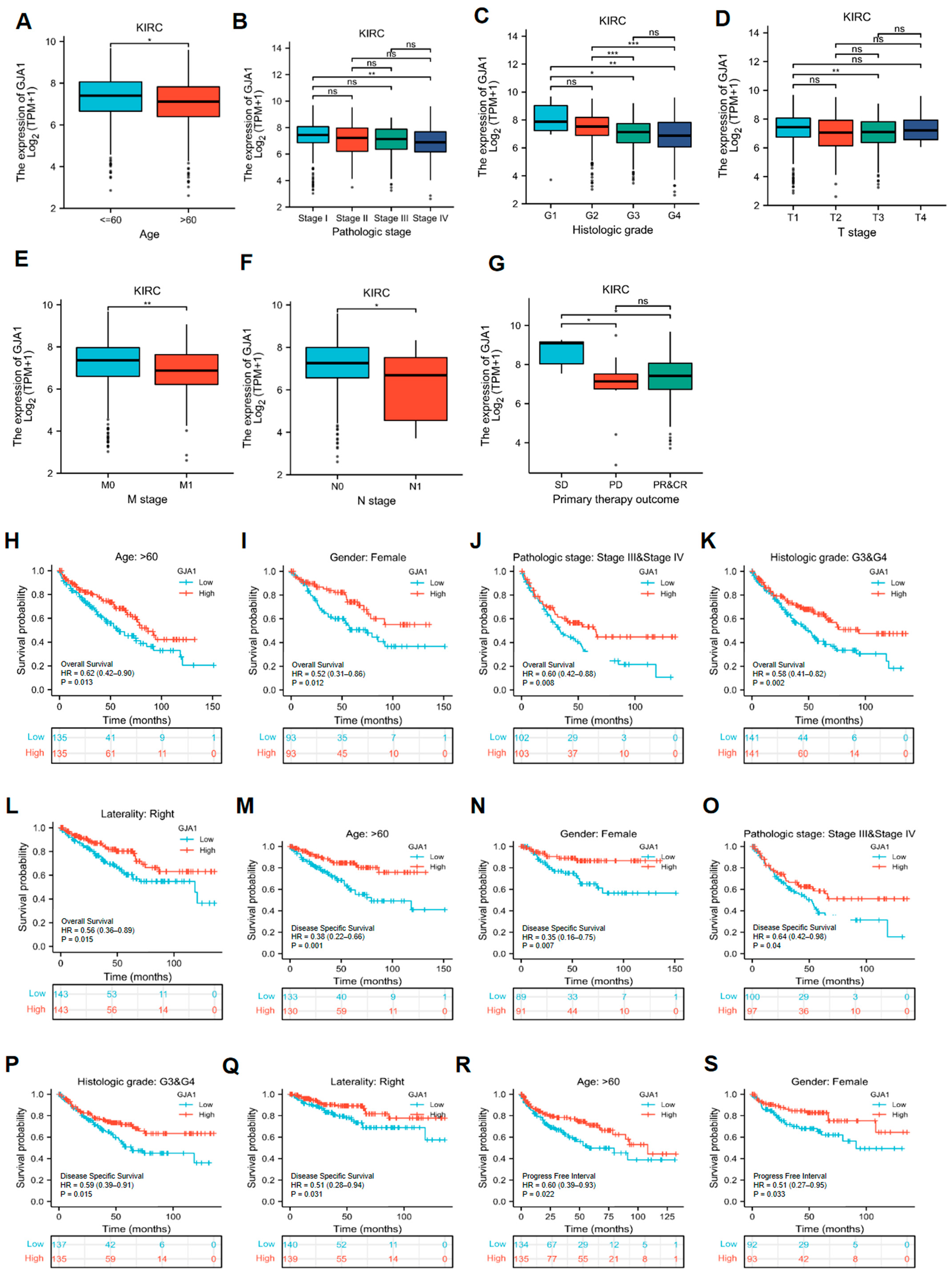 Medicina 60 00780 g004