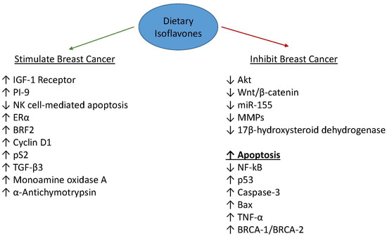 Dietary Isoflavones and Breast Cancer Risk Dietary Isoflavones and Breast Cancer Risk