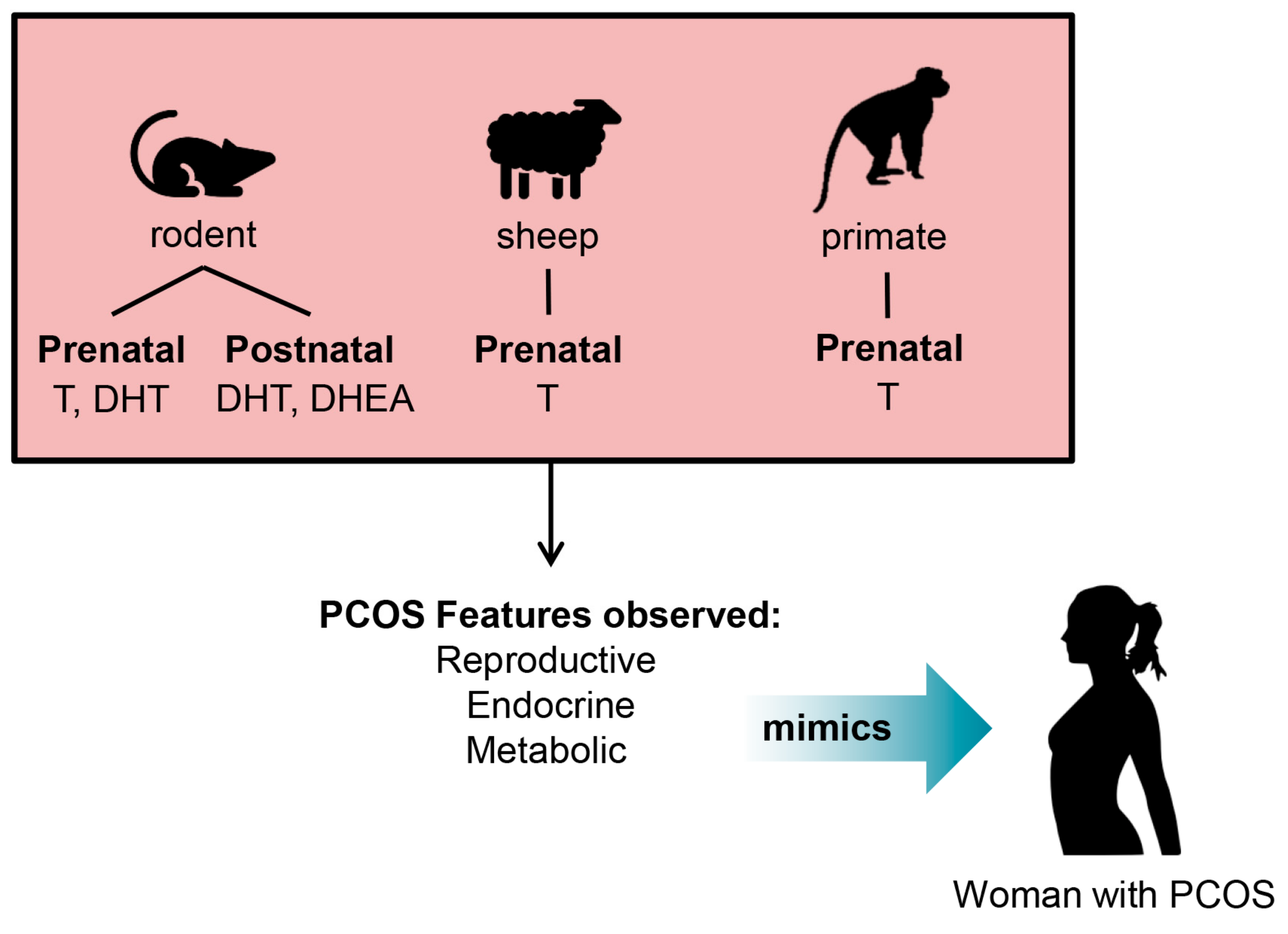 Medsci 07 00089 g002