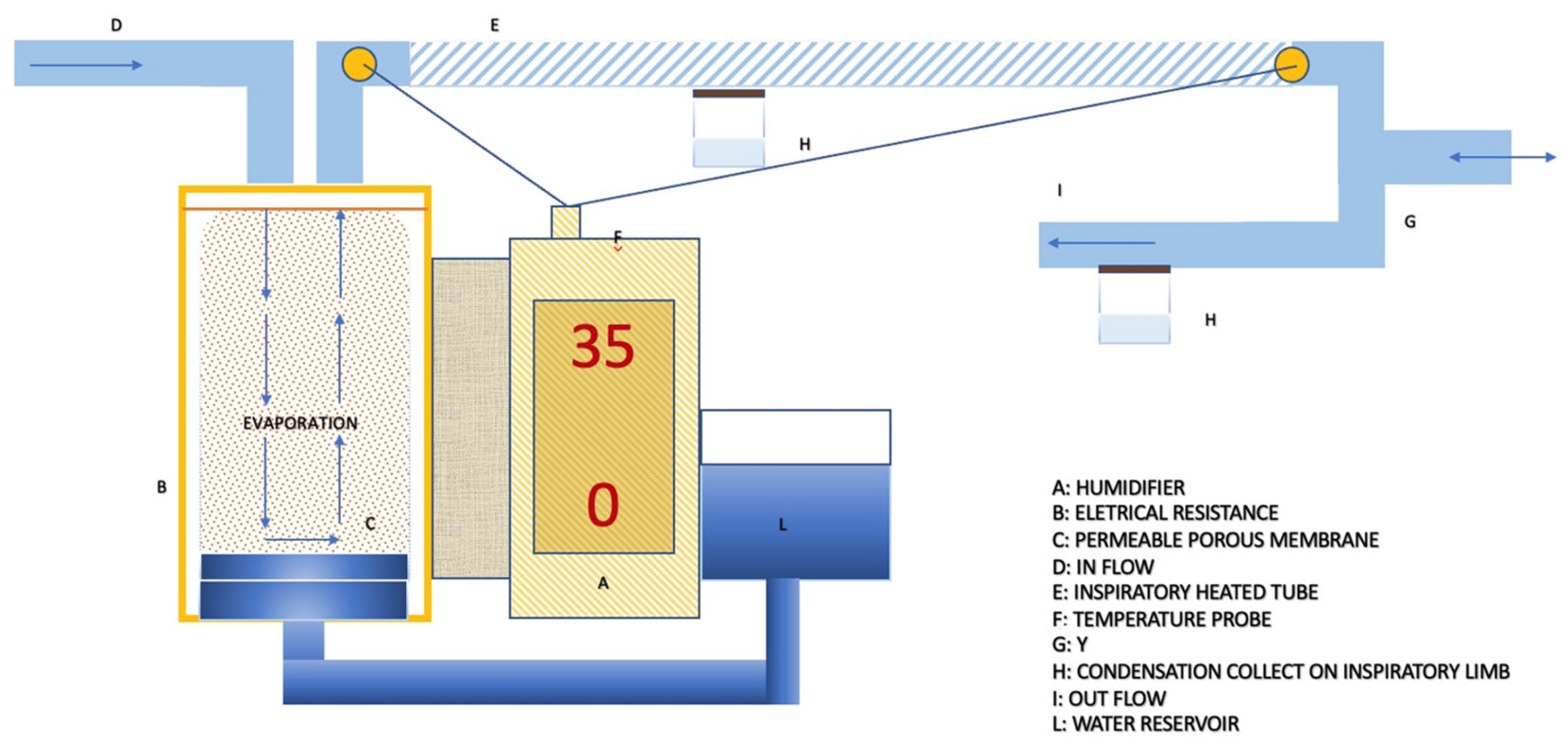 Medsci 12 00026 g003