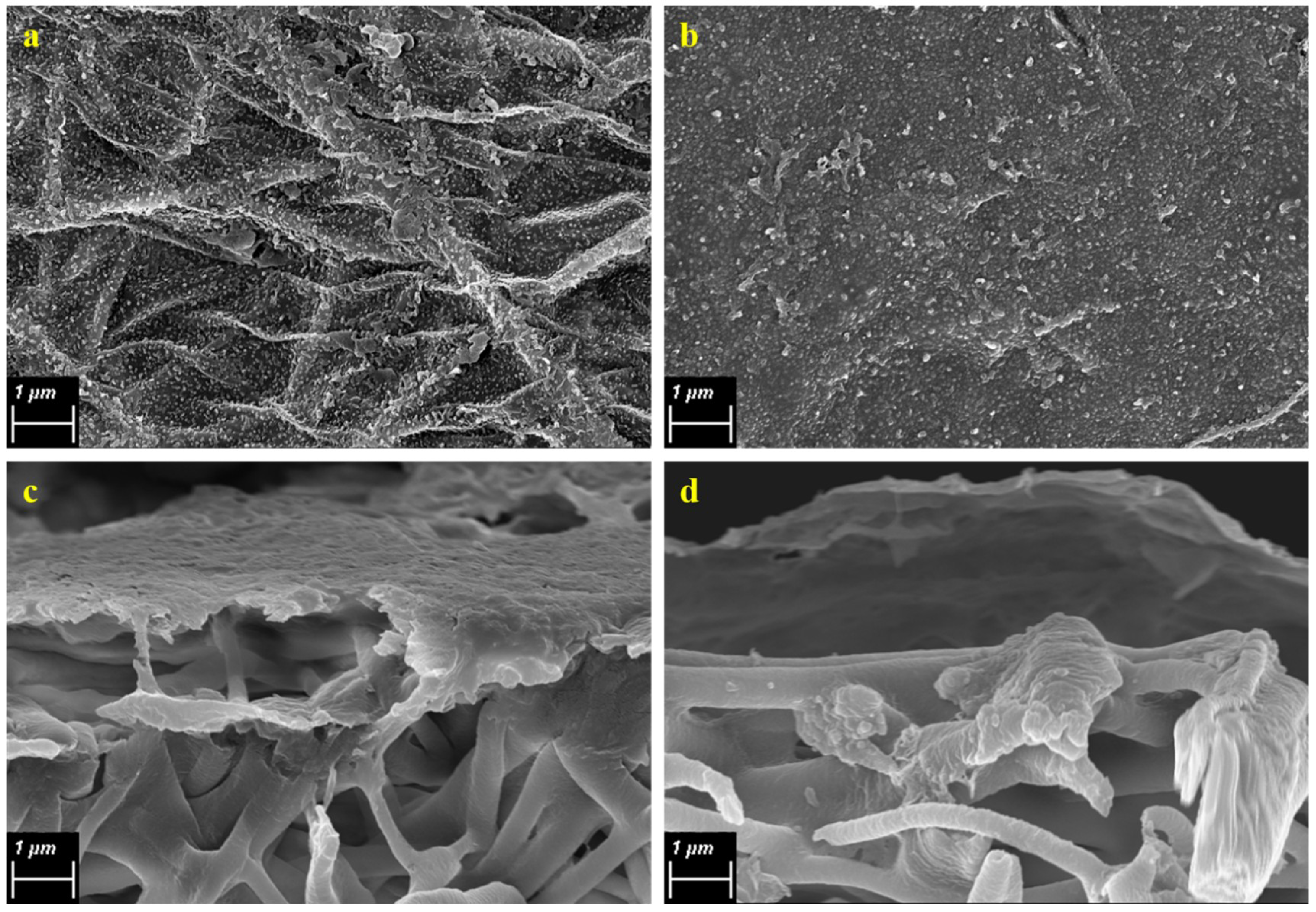 Membranes 08 00070 g005