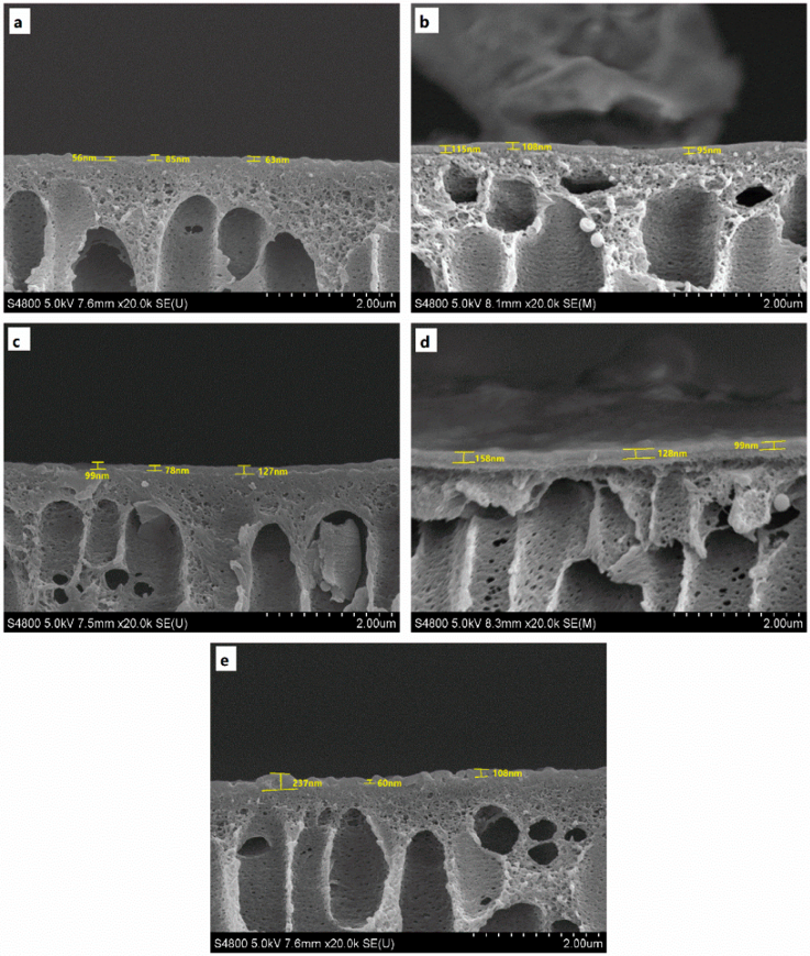 Membranes 08 00089 g002