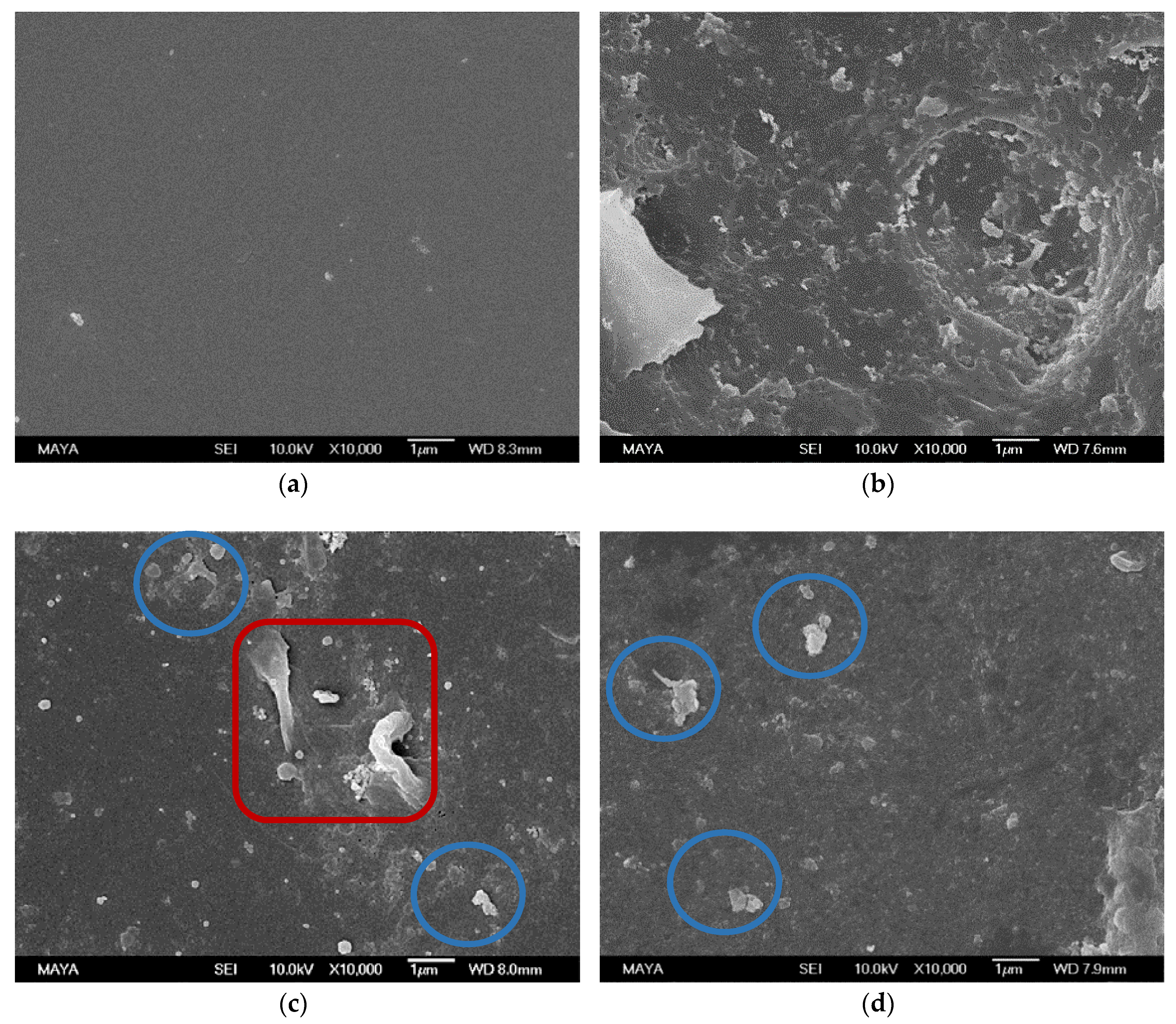 Membranes 08 00091 g002a