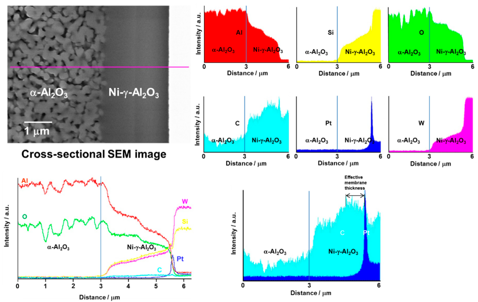 Membranes 10 00011 g006