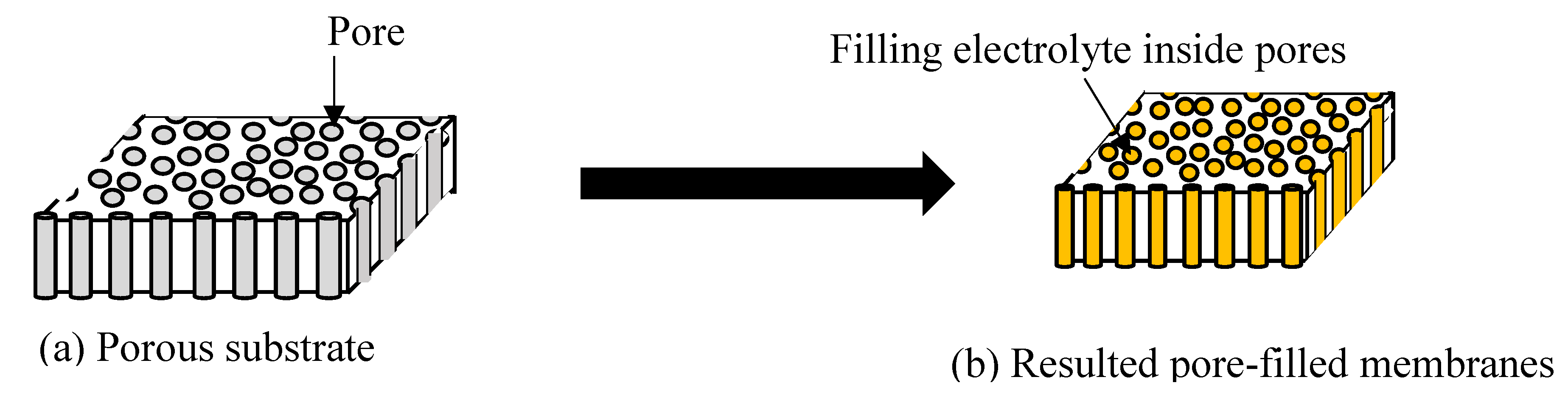 Membranes 10 00034 g007