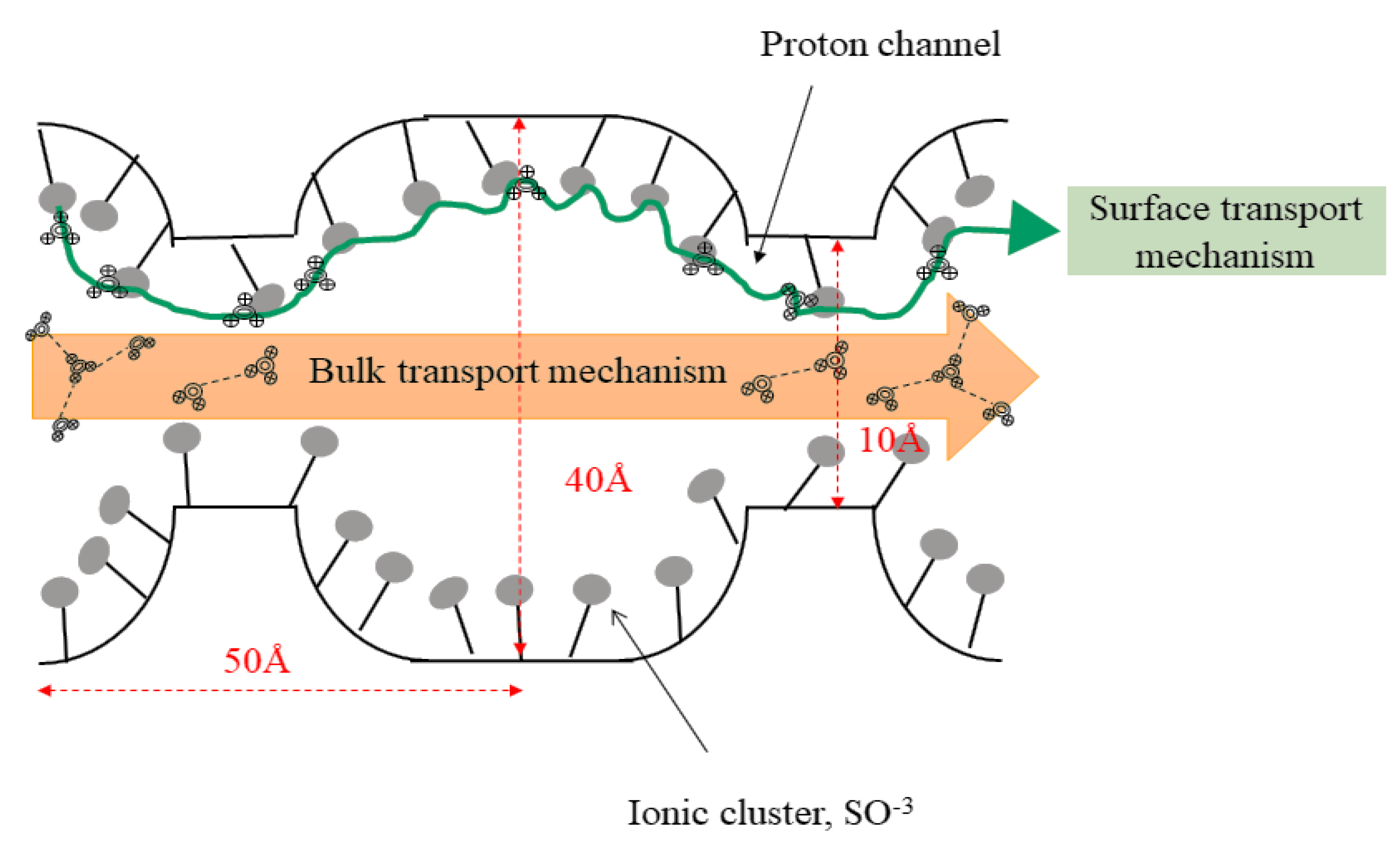 Membranes 10 00034 g011