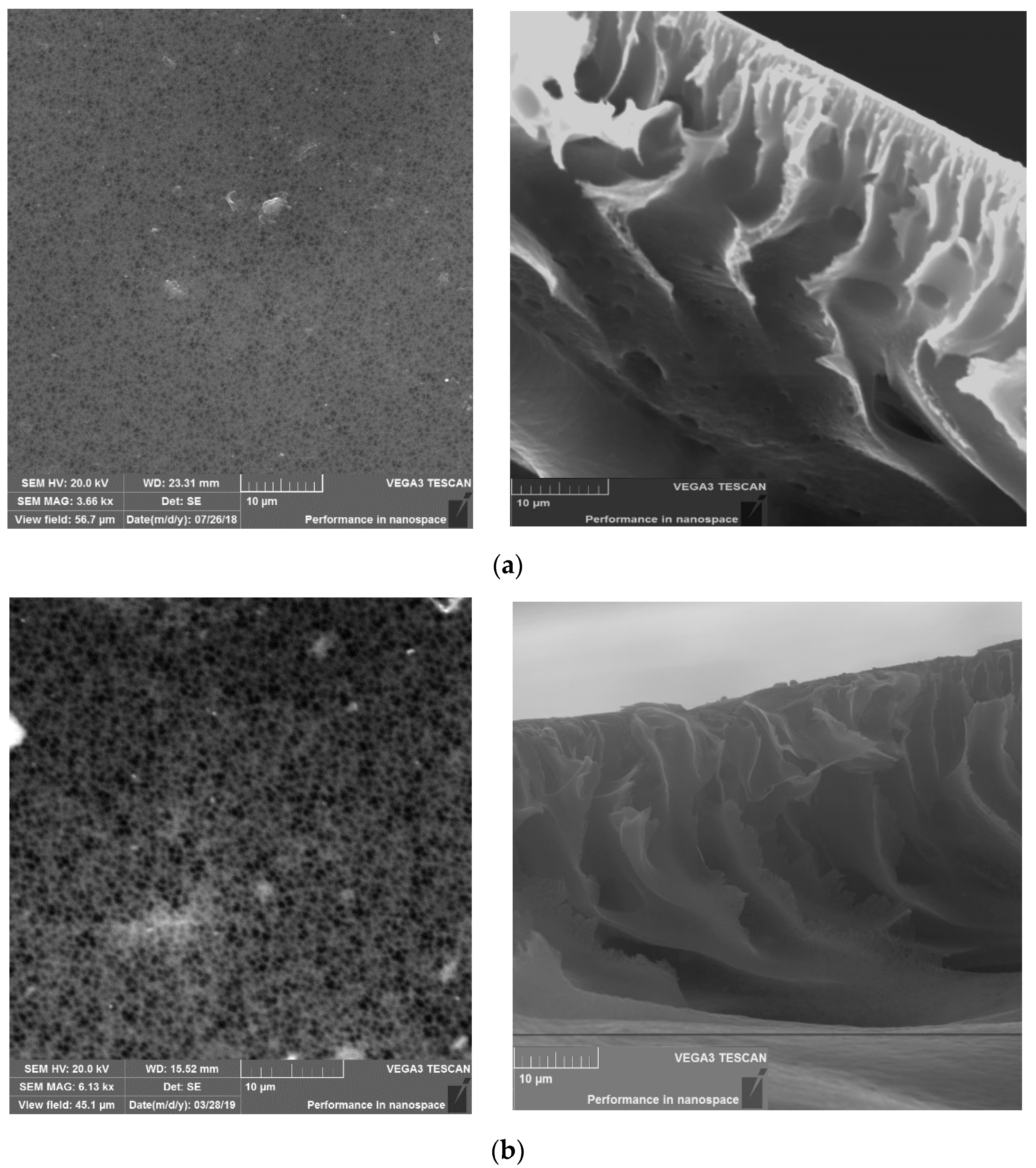 Membranes 11 00114 g004a