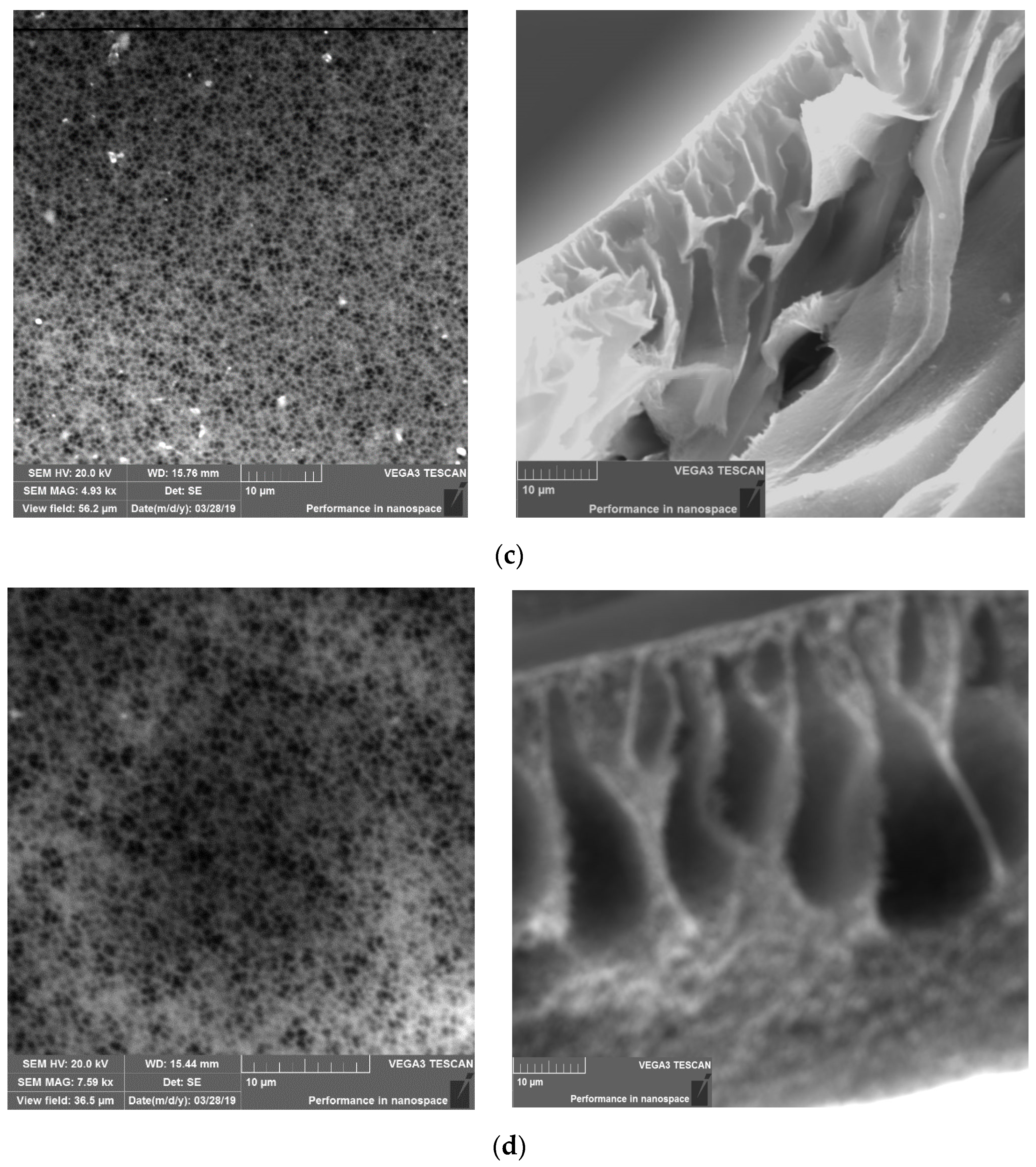 Membranes 11 00114 g004b