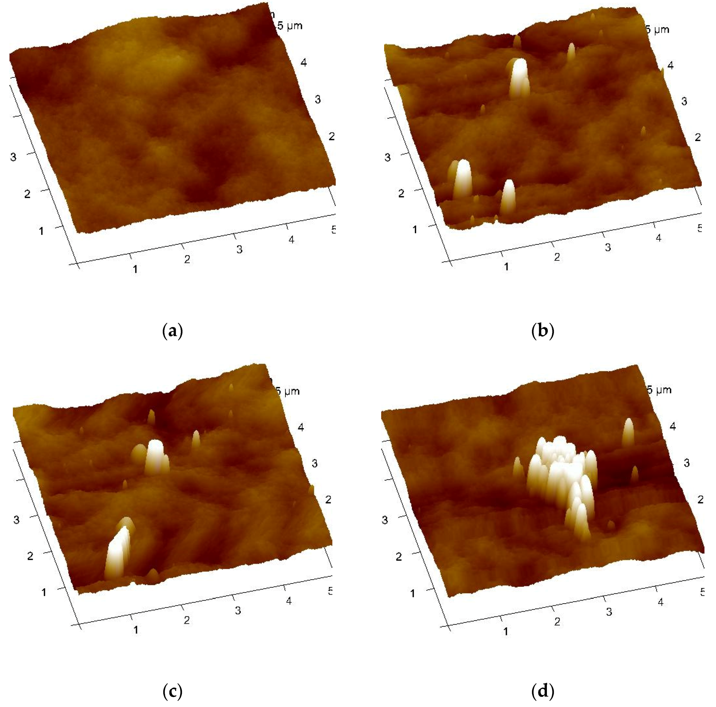 Membranes 11 00114 g005