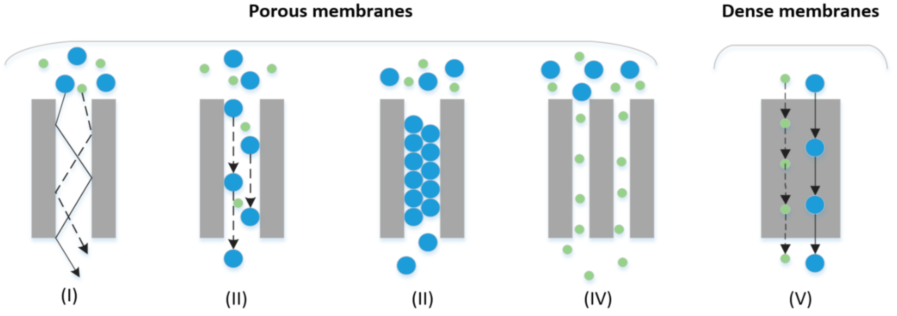 Membranes 11 00127 g003