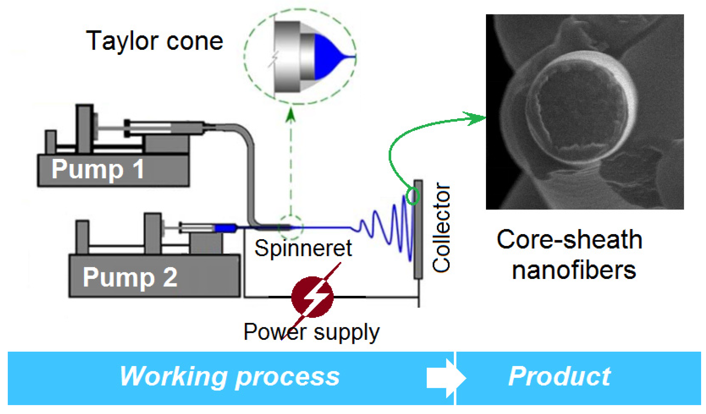 Membranes 11 00802 g002